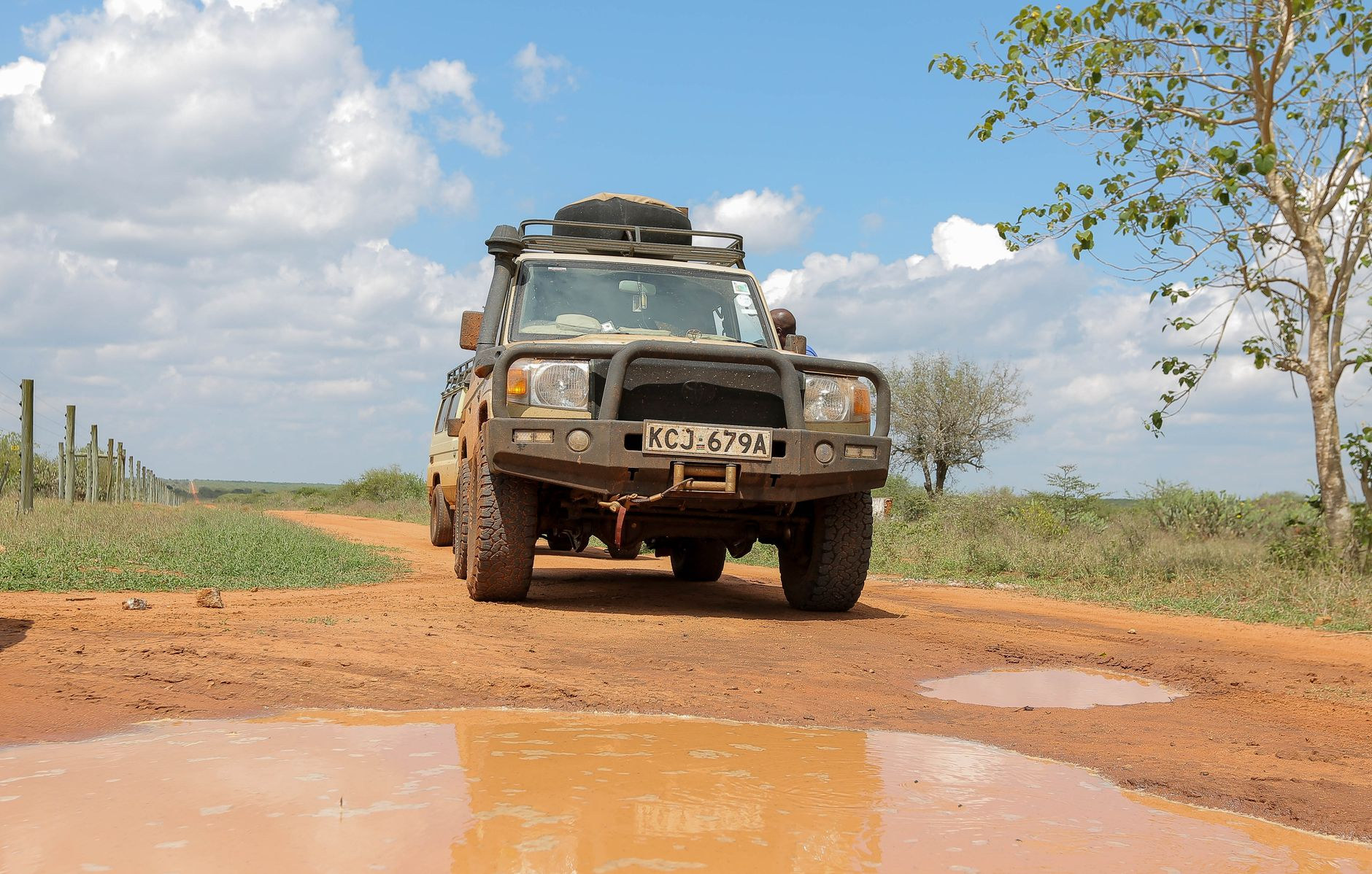 Open-top 4x4 safari vehicle tracking wildlife on dirt tracks