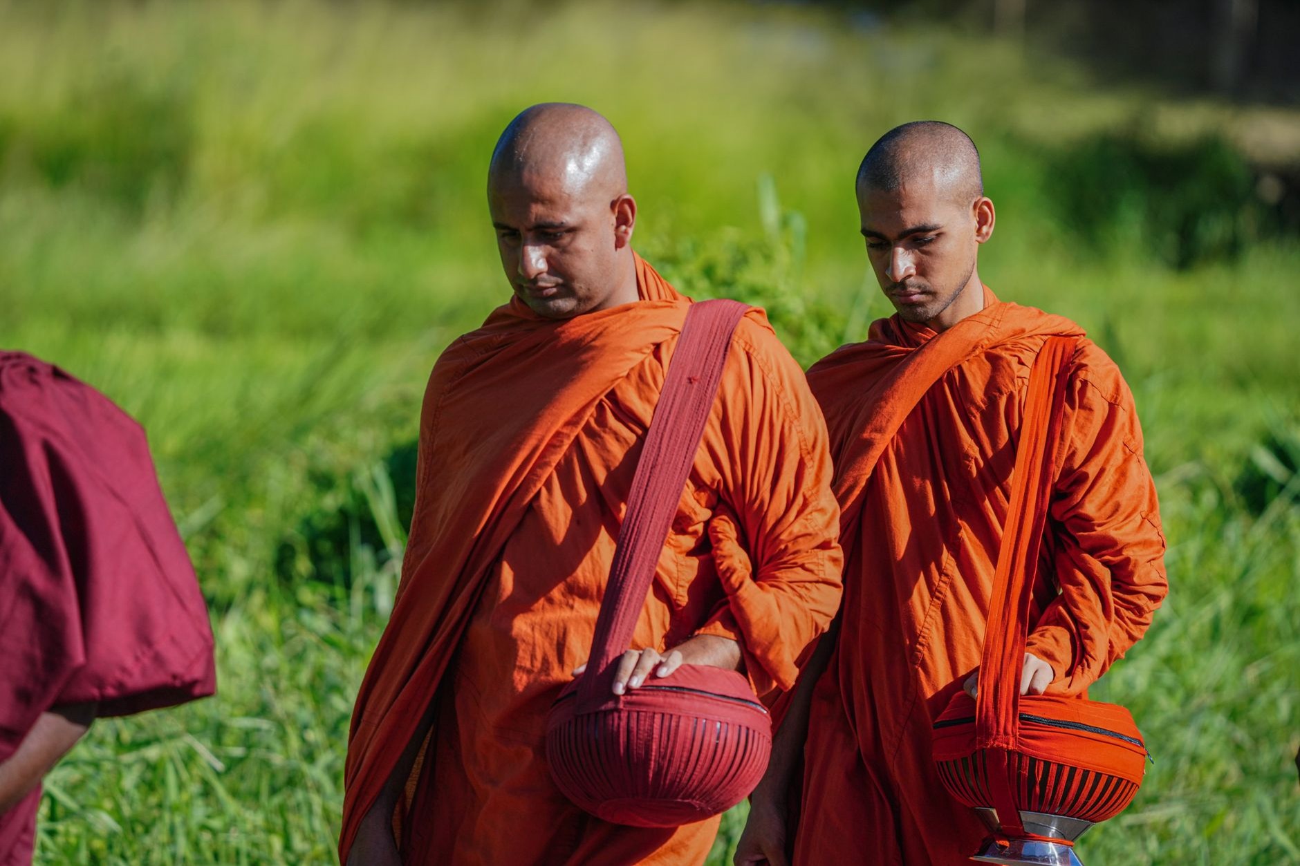 Line of Theravada Buddhist monks in saffron robes receiving morning sticky rice alms in Luang Prabang