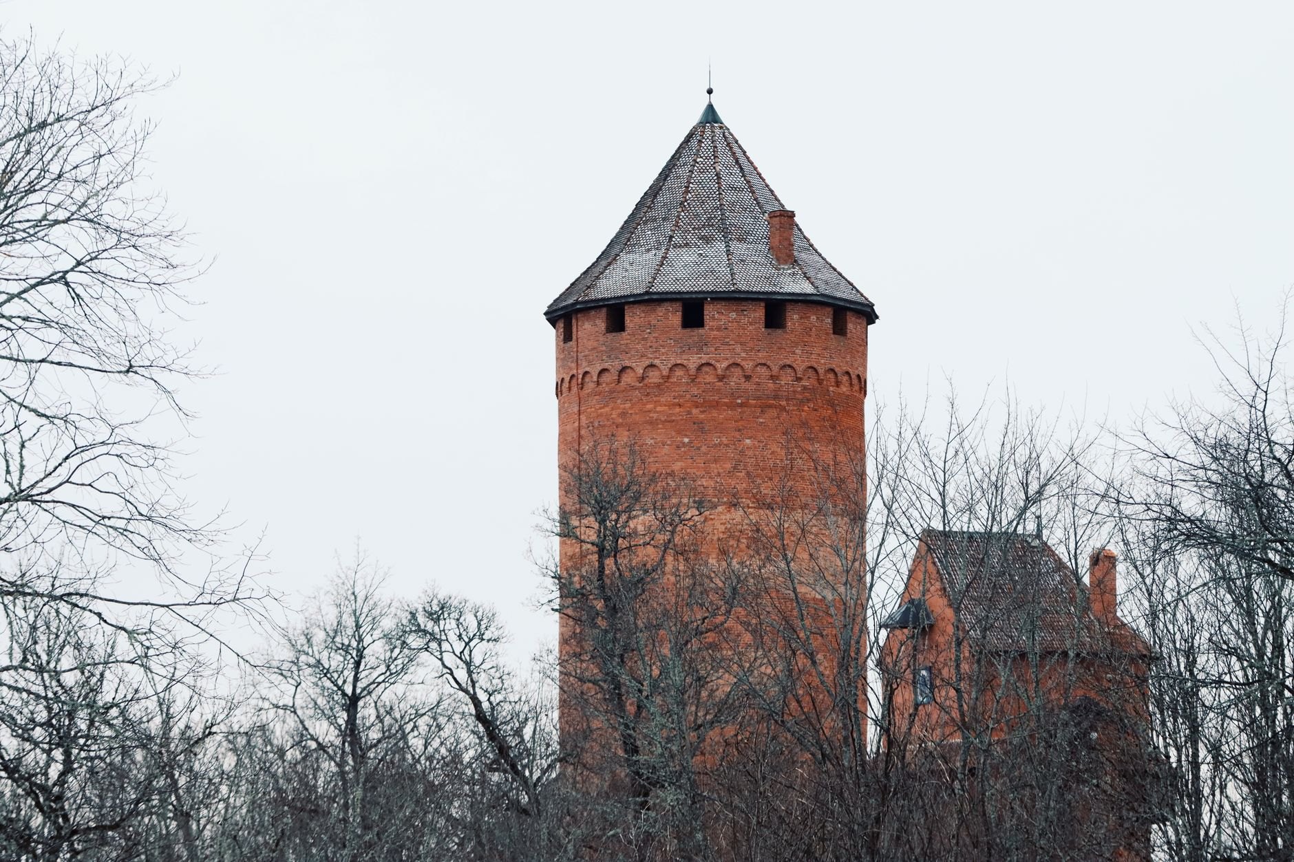 Red-brick round defensive tower of Turaida Castle towering above dense pine forests in the Gauja river valley