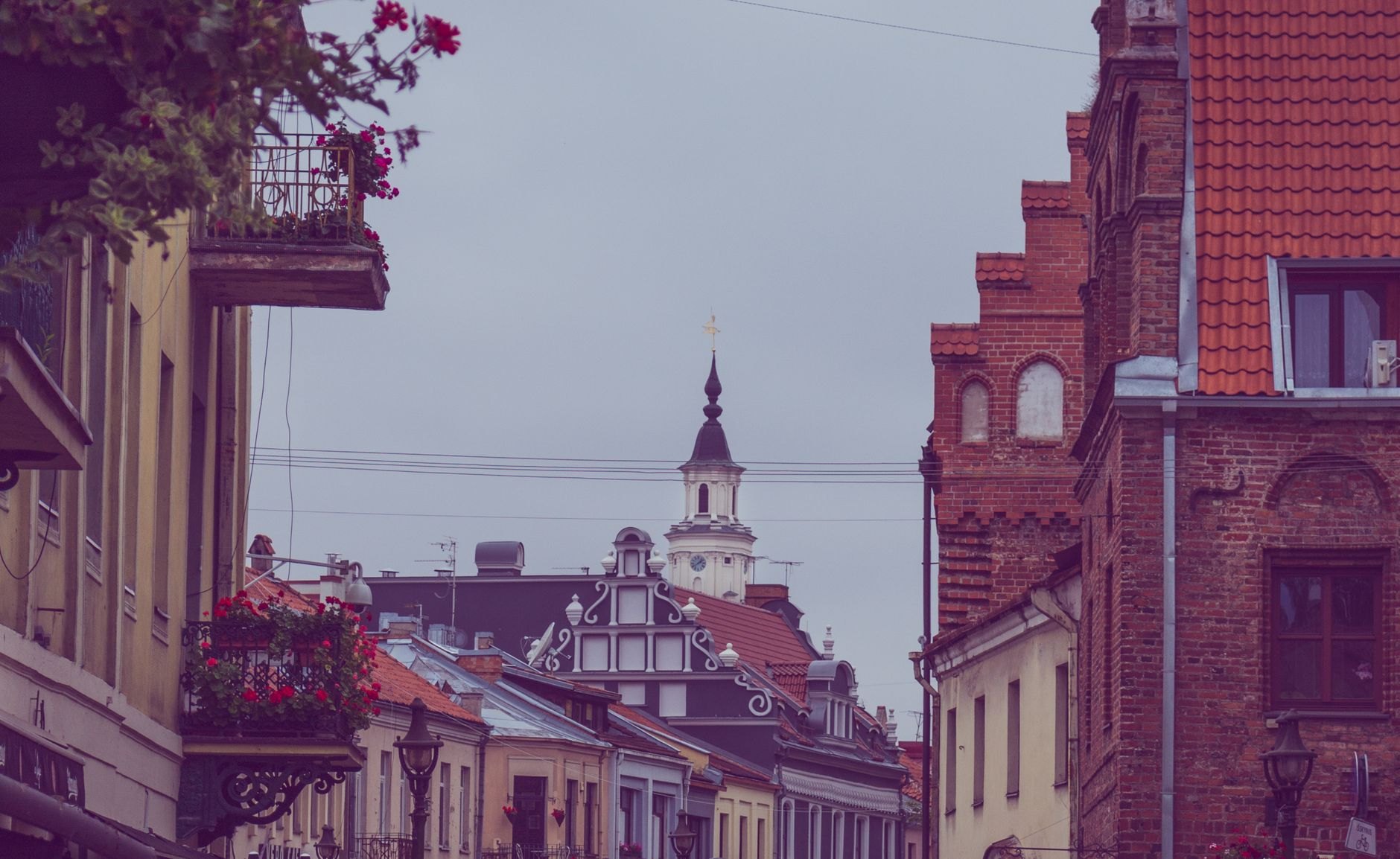 Intricate flaming red-brick Gothic facade and delicate spires of the Church of St. Anne in Vilnius