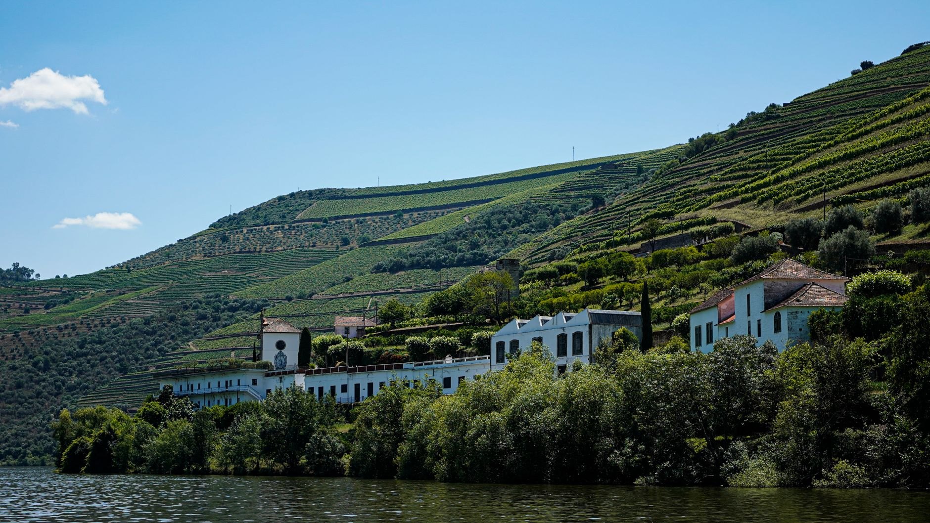 Steep terraced green vineyard rows overlooking the winding Moselle River along the German-Luxembourg border