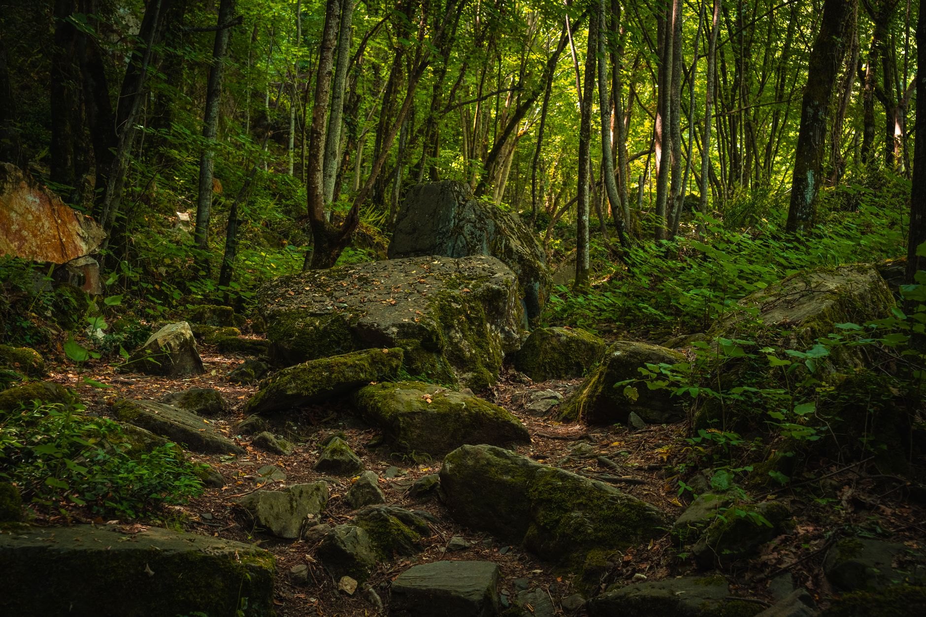 Three-channel waterfall flowing beneath a rustic stone bridge through moss-covered sandstone boulders in Mullerthal