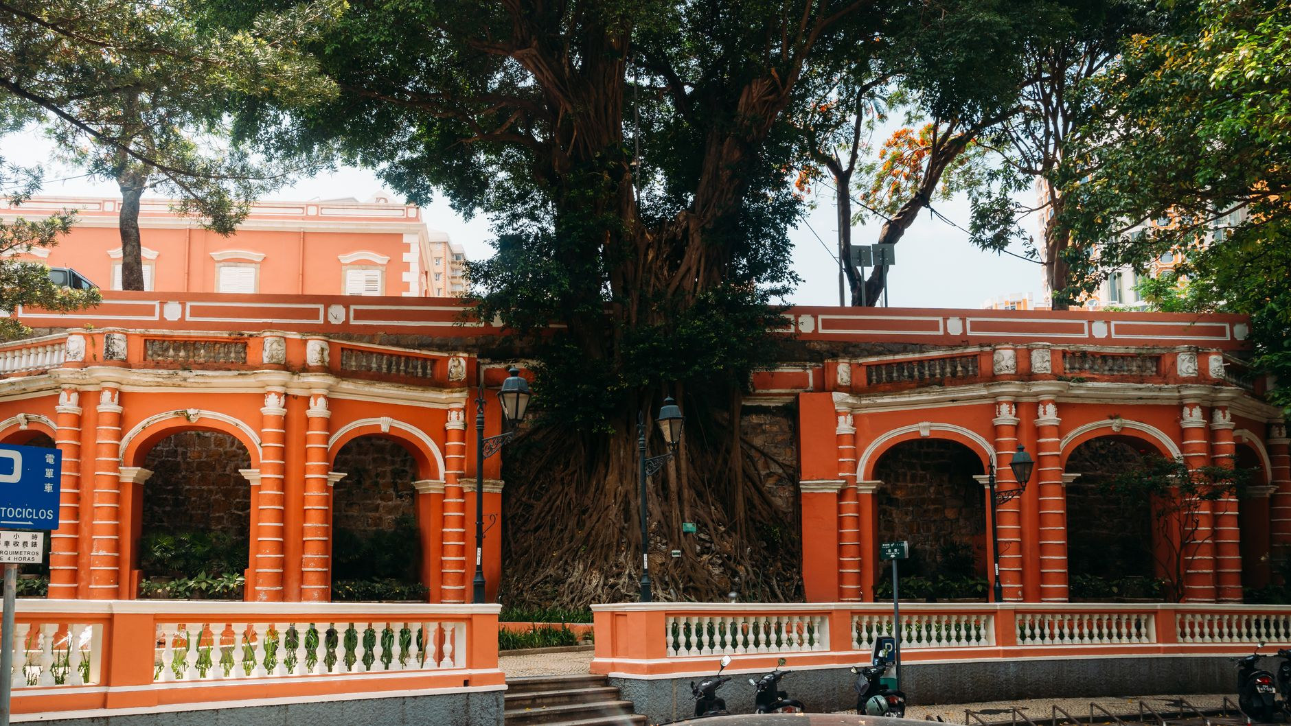 Historic red stone arches and sprawling banyan tree roots framing a tranquil traditional courtyard in Macao