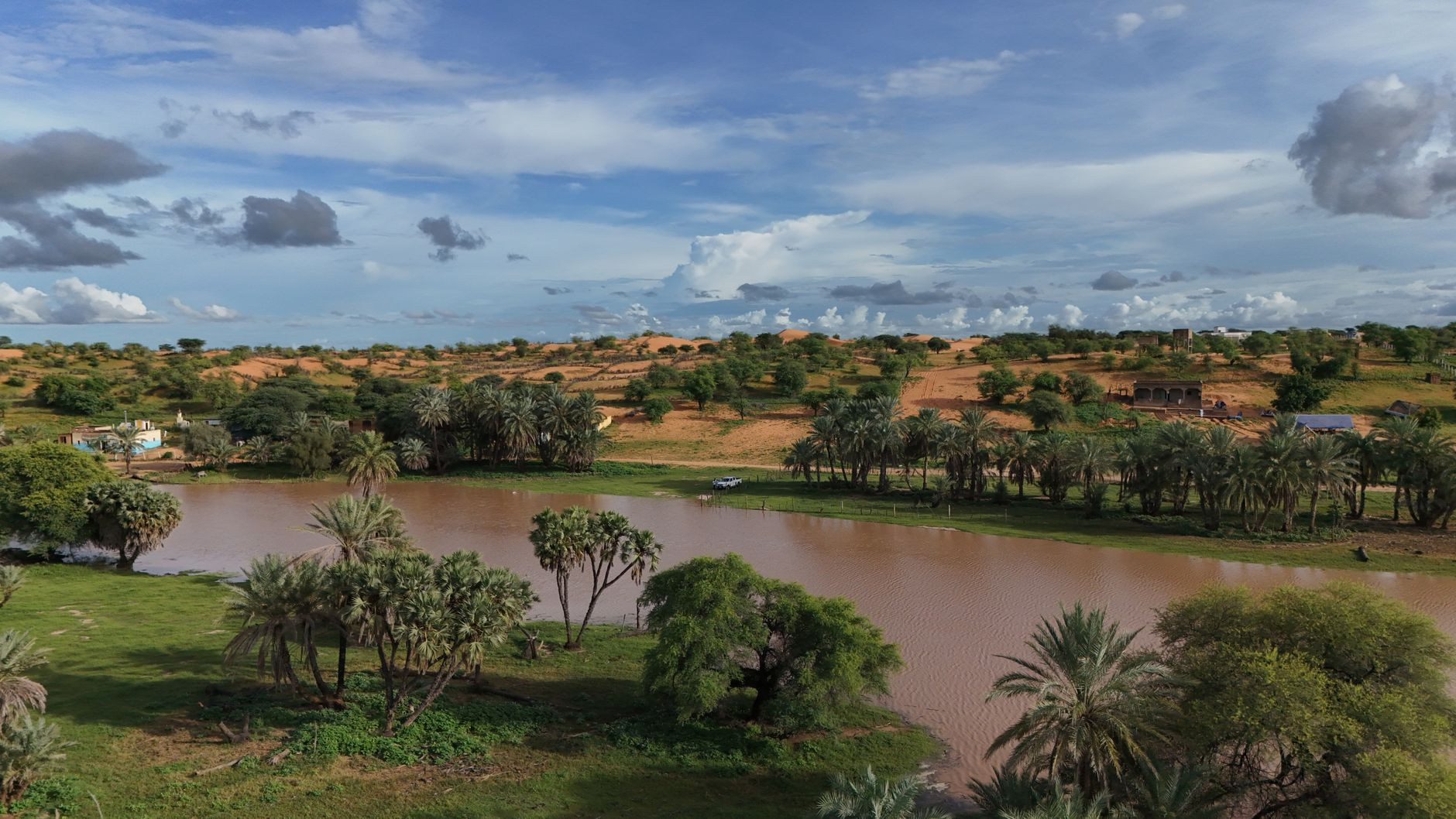 Scenic desert oasis with lush date palm trees and surrounding golden dunes in Mauritania