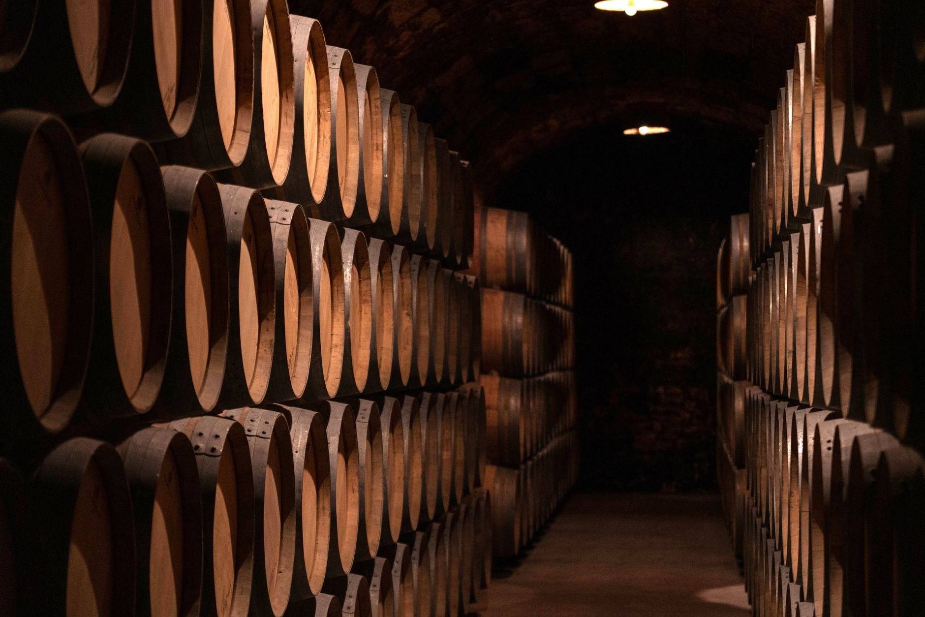 A vast limestone underground tunnel lined with enormous wooden oak wine maturation casks
