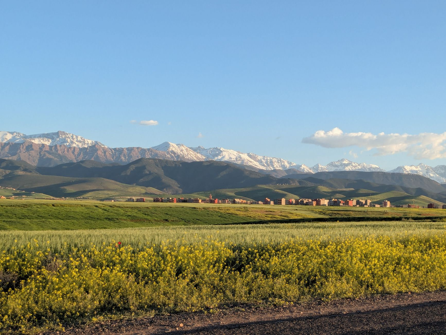Fields with the Atlas Mountains beyond