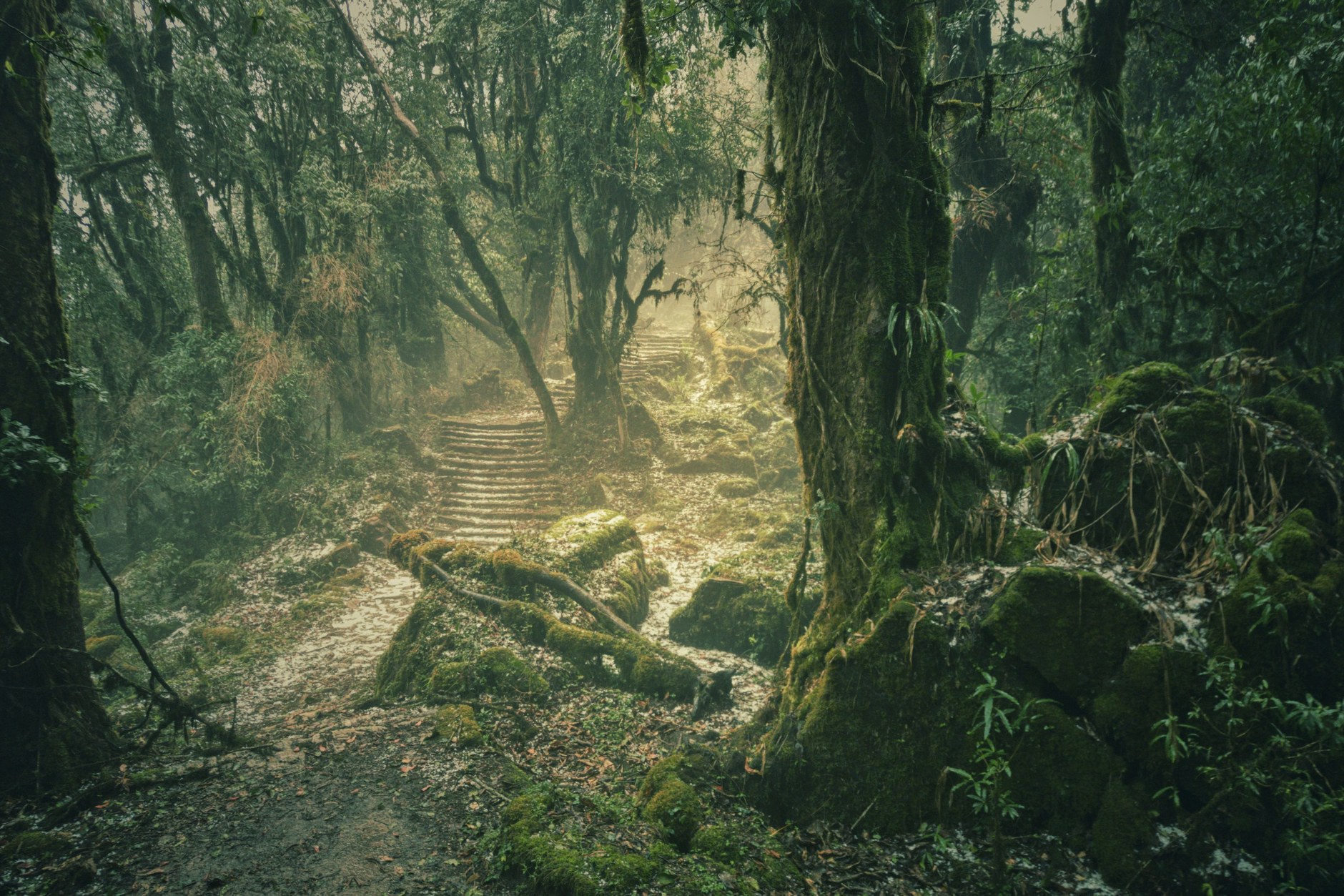 Trekkers hiking a stone staircase path through rhododendron forests in the Annapurna foothills