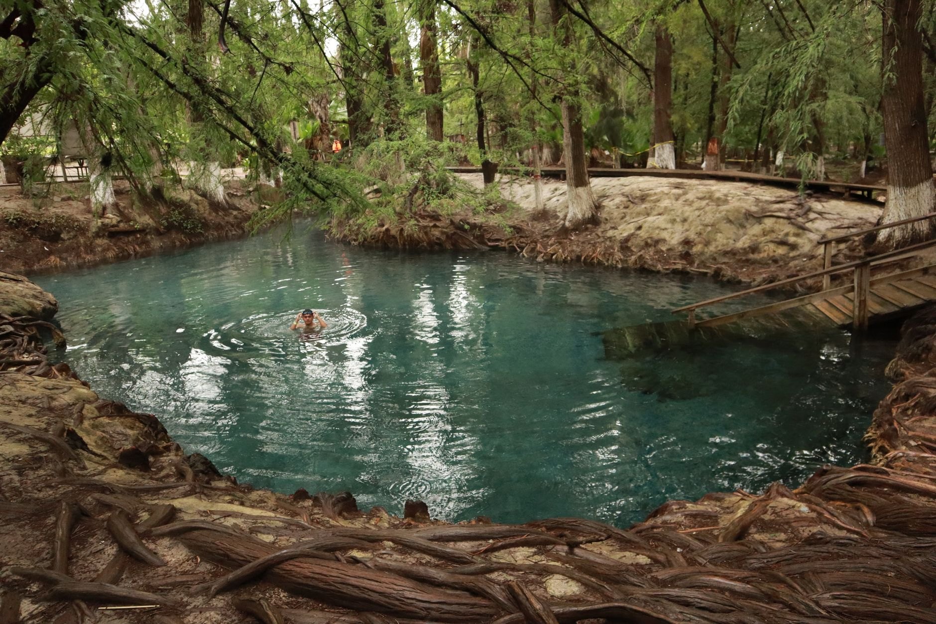 Crystal clear turquoise water in a natural stone-lined swimming pool surrounded by towering tropical trees