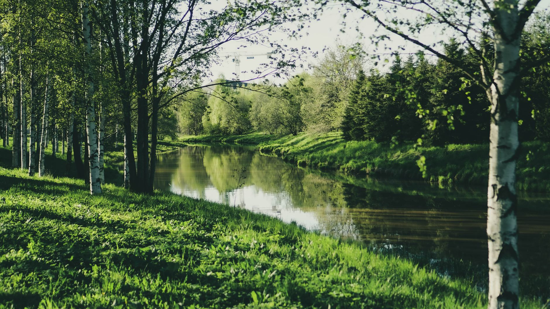 A sacred peaceful river flowing through dense primary tropical rainforest foliage with overhanging trees