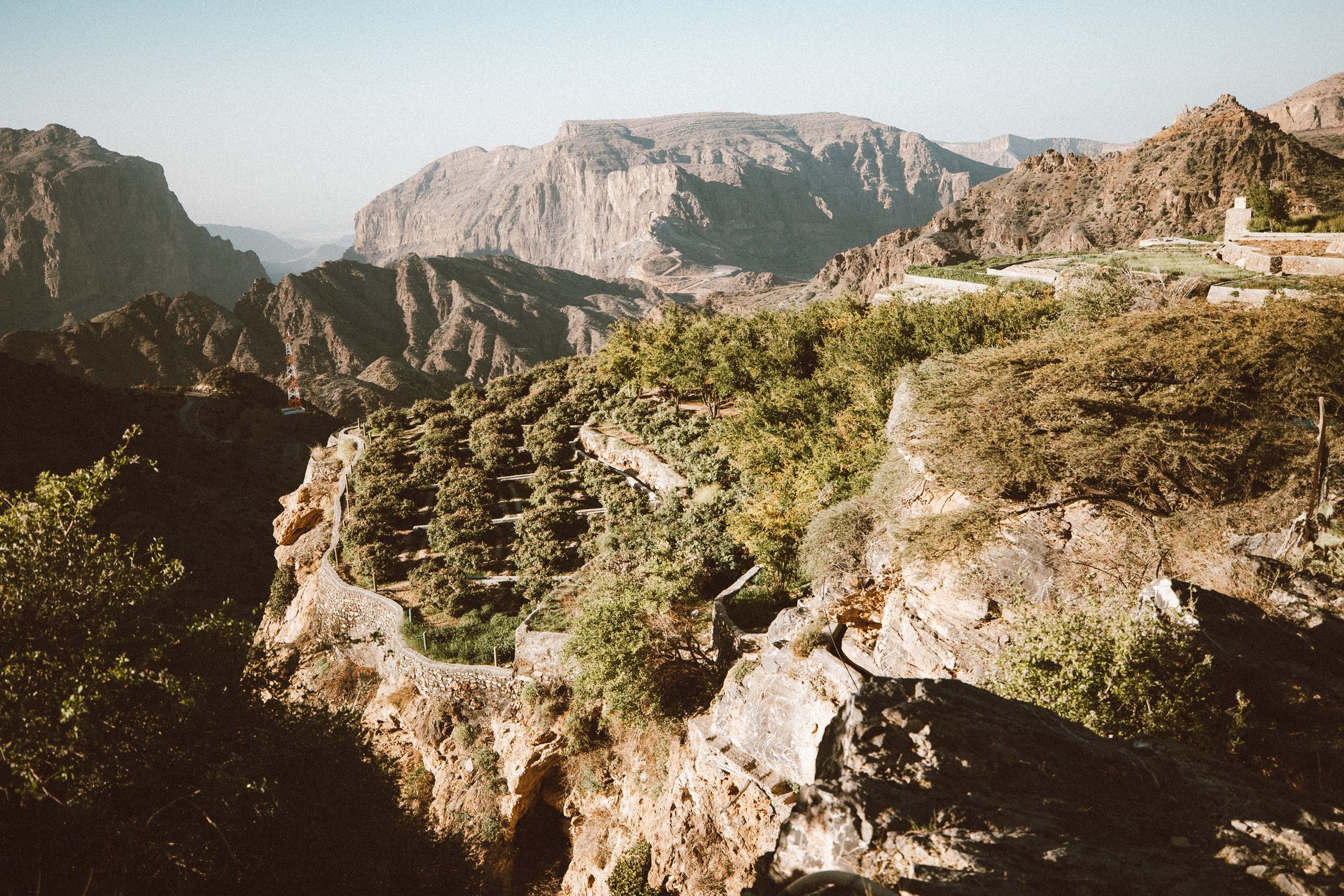 Stepped agricultural pomegranate terraces clinging to the canyon walls of Jebel Akhdar