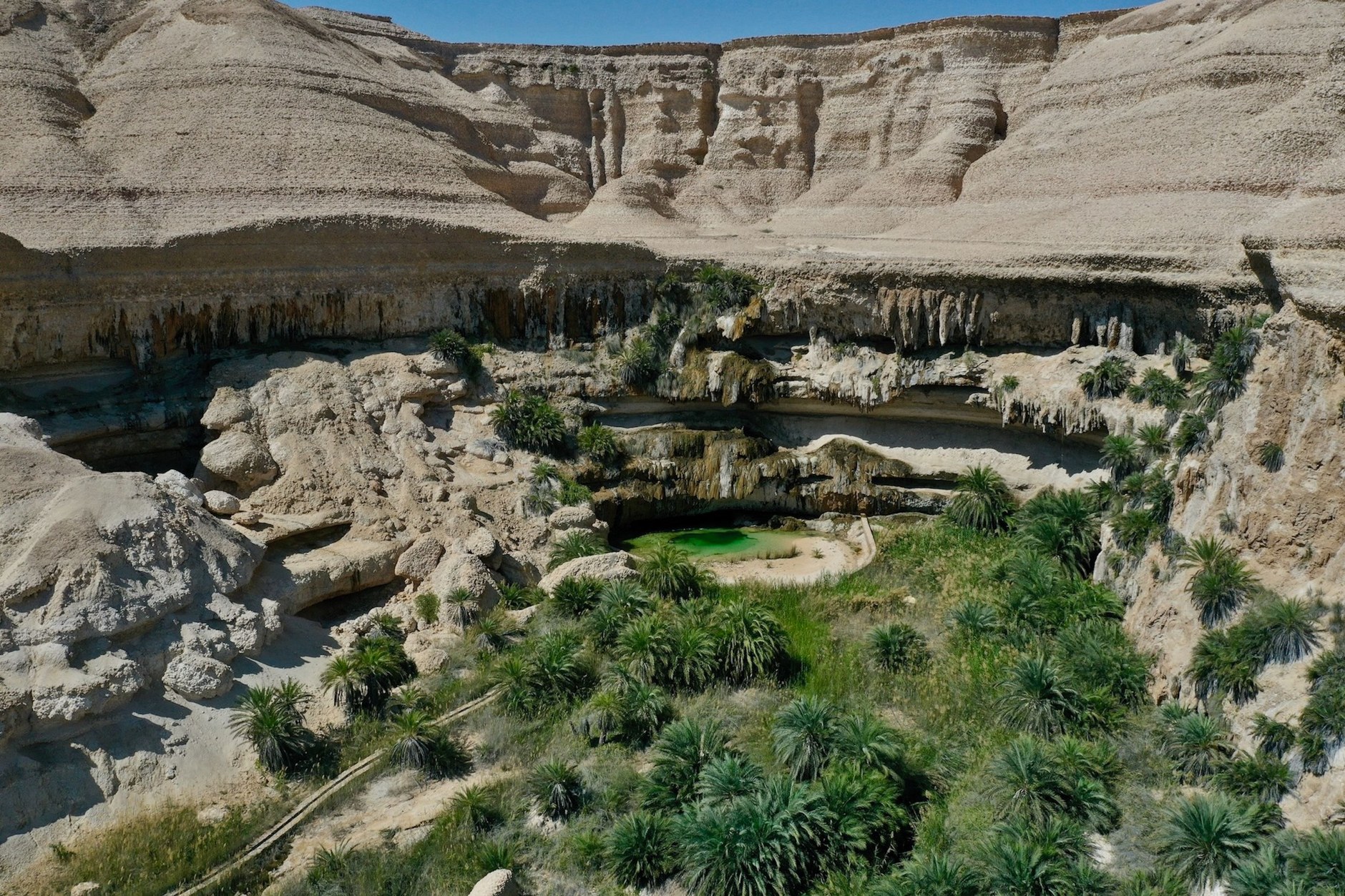 Emerald-green natural freshwater swimming pools bordered by date palms in Wadi Bani Khalid