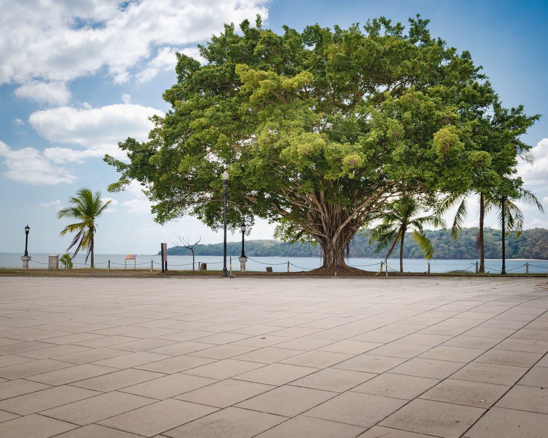 Palm-lined bicycle path and waterfront promenade along the Amador Causeway connecting four Pacific islands to Panama City