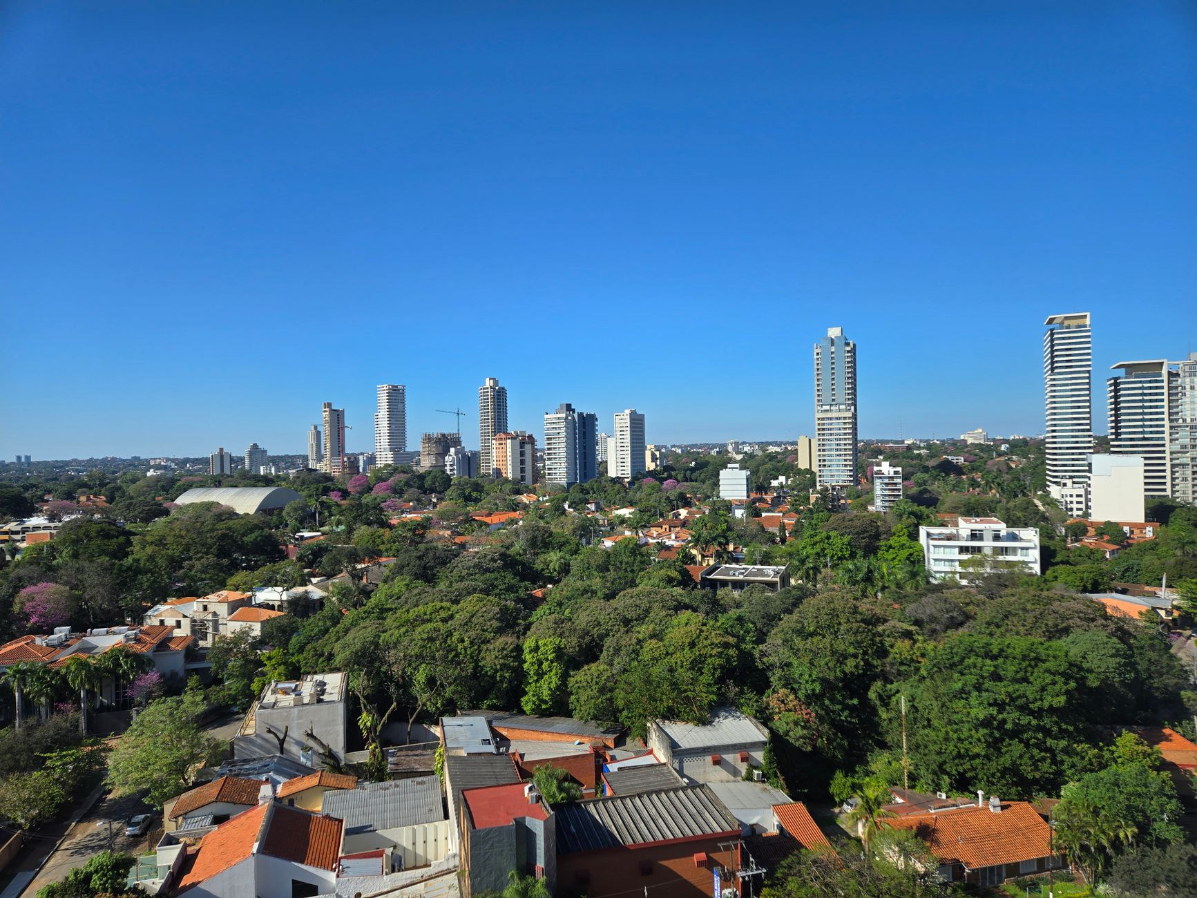 Panoramic cityscape view of Asunción financial towers and residential districts rising amidst expansive subtropical green tree canopy