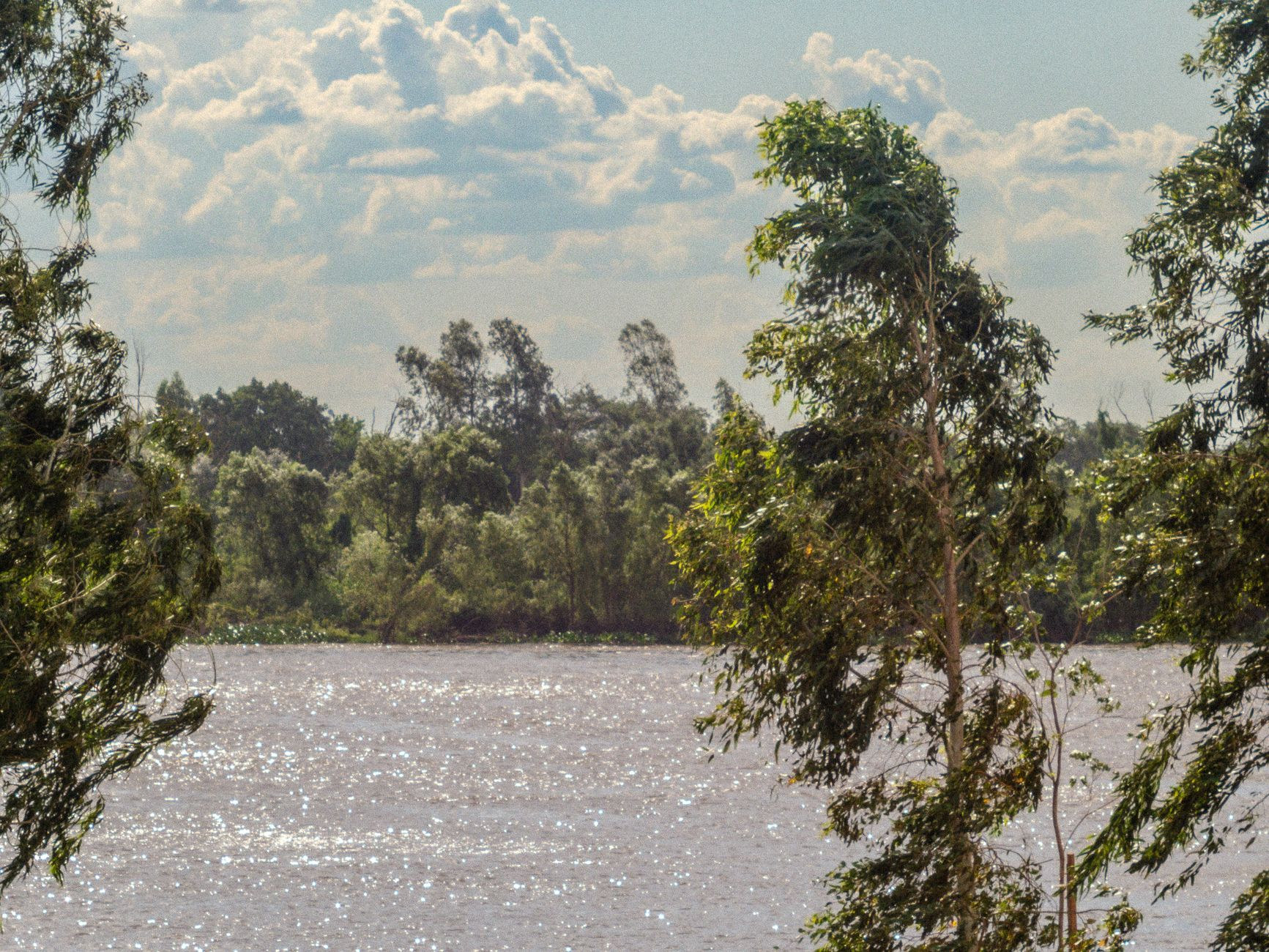 Tranquil waters of the Paraguay River flowing past green riverbanks and peaceful riparian wetlands near Asunción