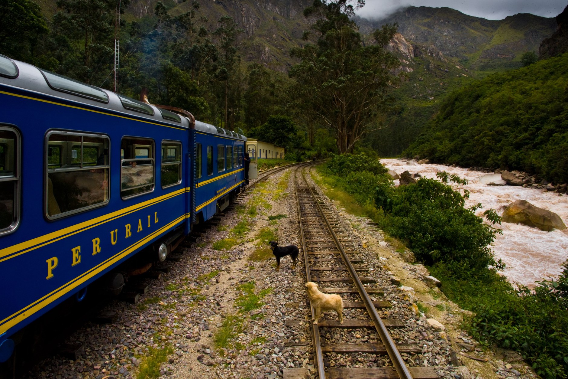 The PeruRail Vistadome panoramic train traveling along the Urubamba River through the Sacred Valley