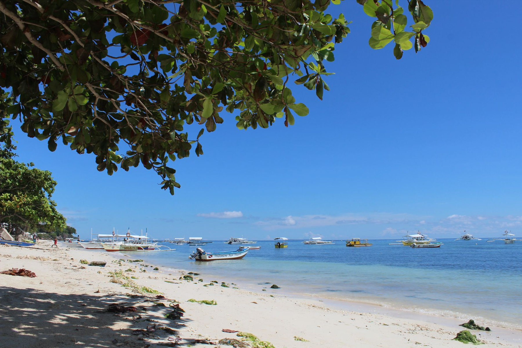 A beach at Panglao, Bohol