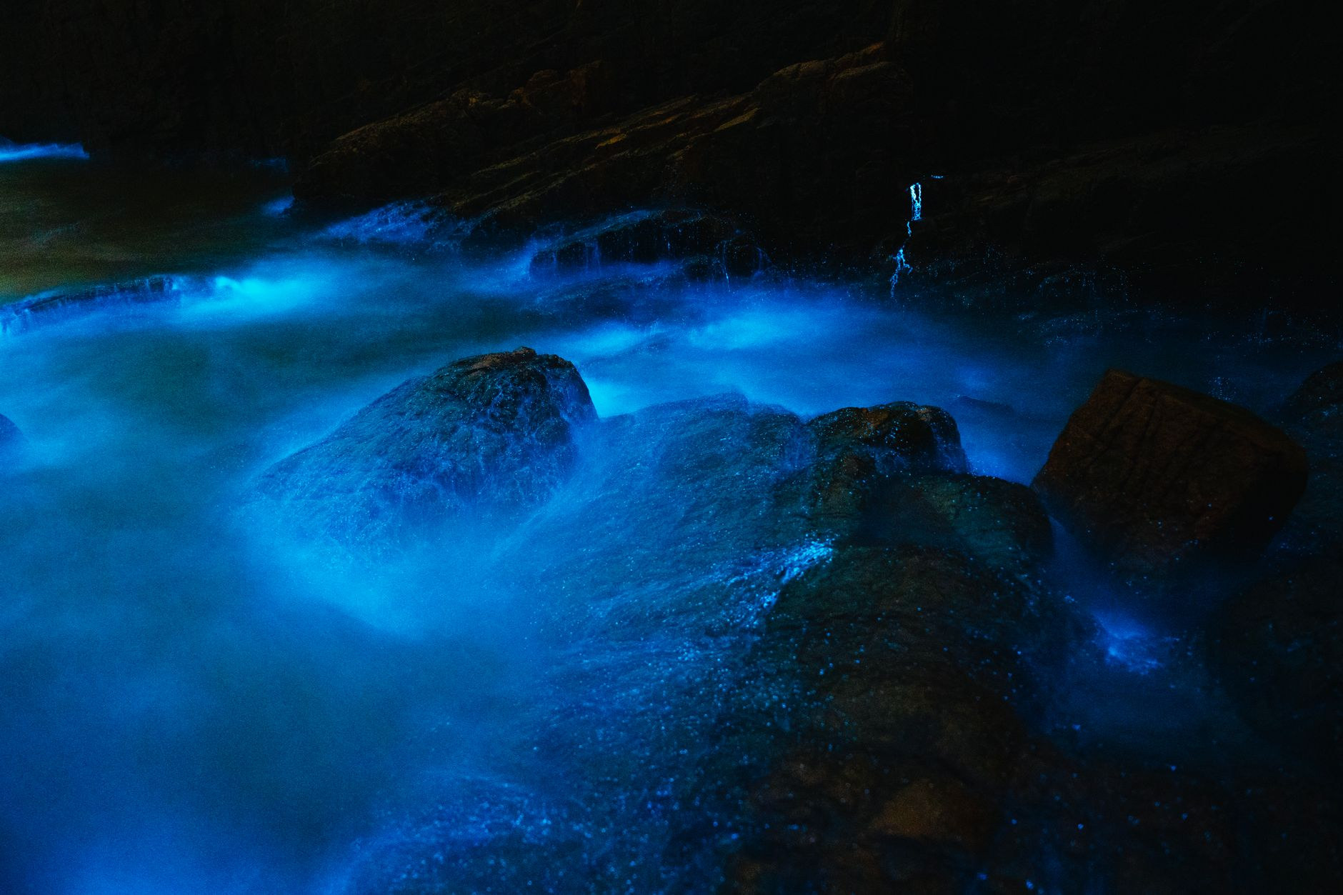 Electric blue bioluminescent light illuminating ocean water in a dark nighttime marine bay