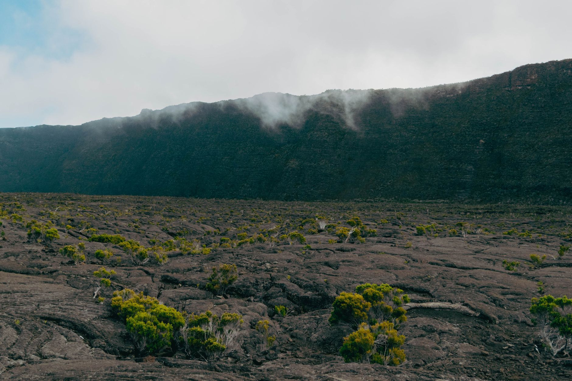 Cooled black pahoehoe lava fields stretching down to coastal vegetation where volcanic eruptions reached the ocean