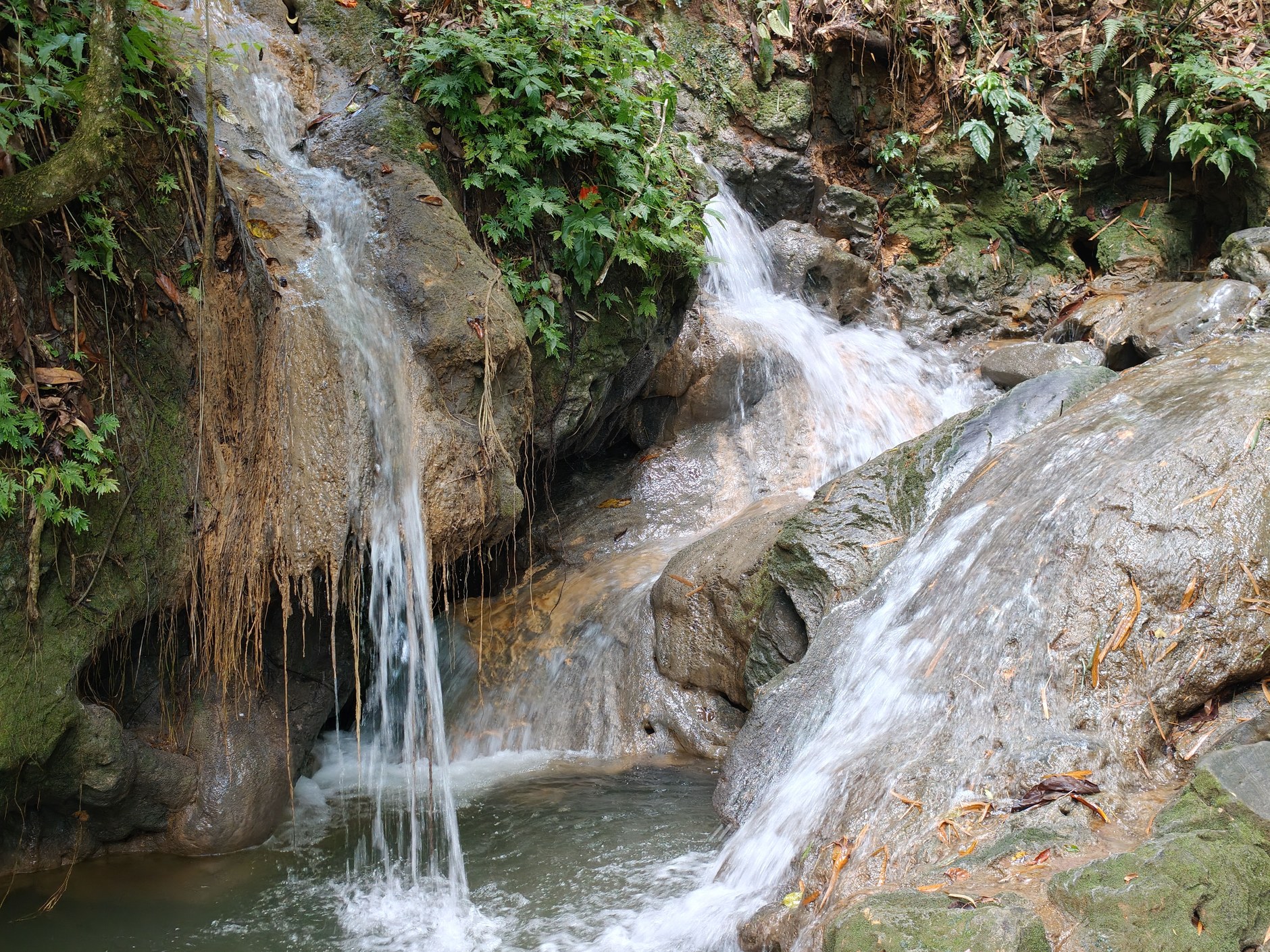 Natural waterfall cascading over mineral-stained rock ledges surrounded by dense rainforest vegetation