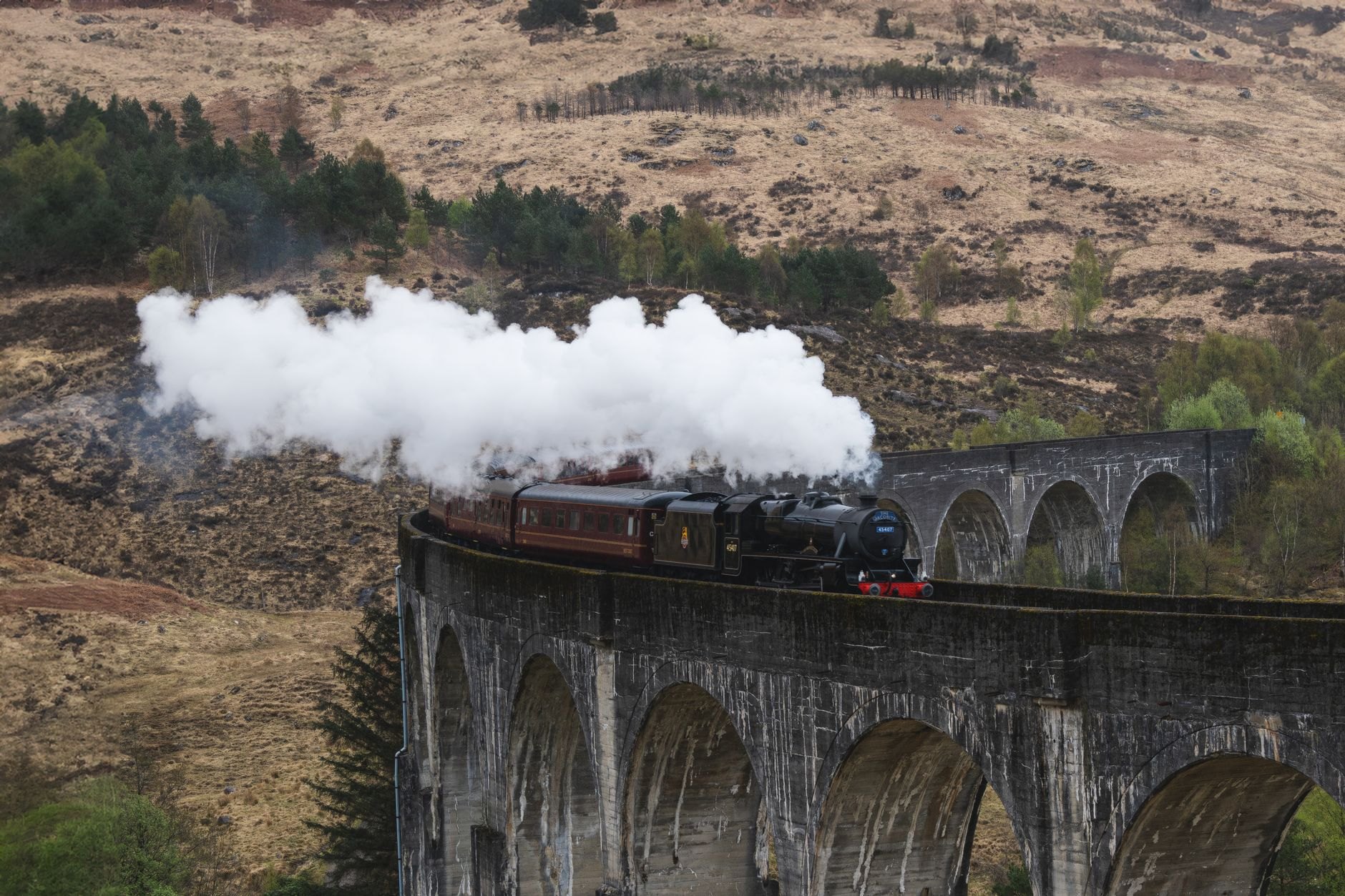 Heritage green narrow-gauge passenger train crossing a high timber trestle bridge among pine mountains on the Šargan Eight railway