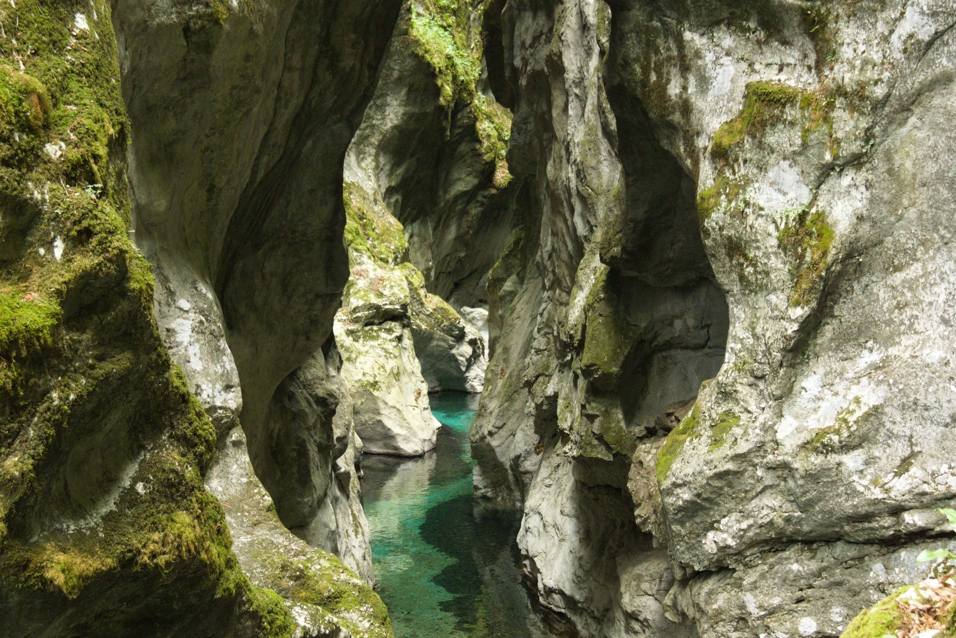 Massive subterranean limestone canyon and rushing underground Reka River inside UNESCO-protected Škocjan Caves