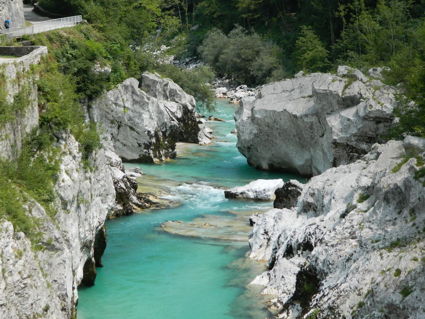 Timber boardwalk footpath hugging the vertical limestone canyon walls above the rushing Radovna River in Vintgar Gorge
