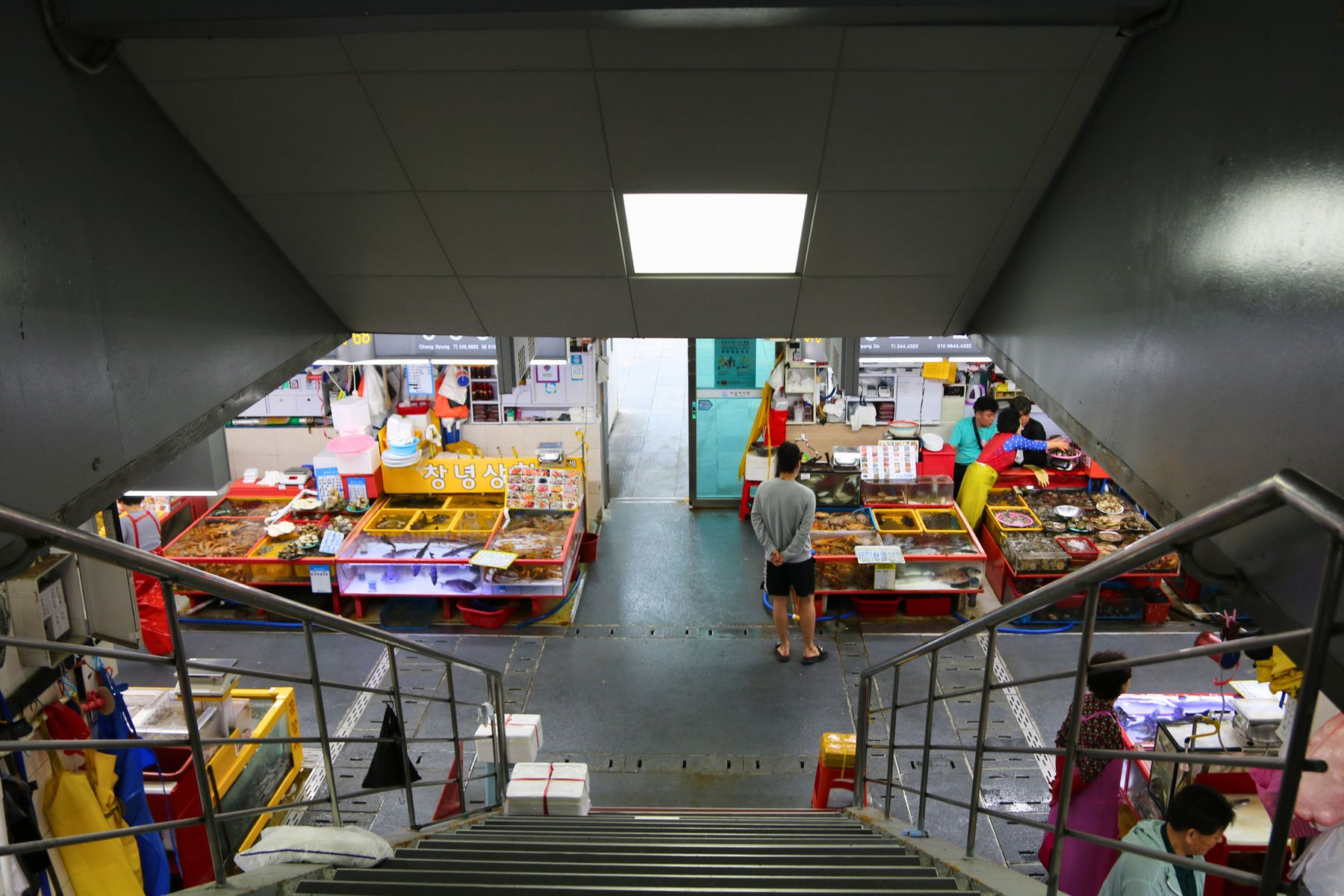 A fish market in Busan