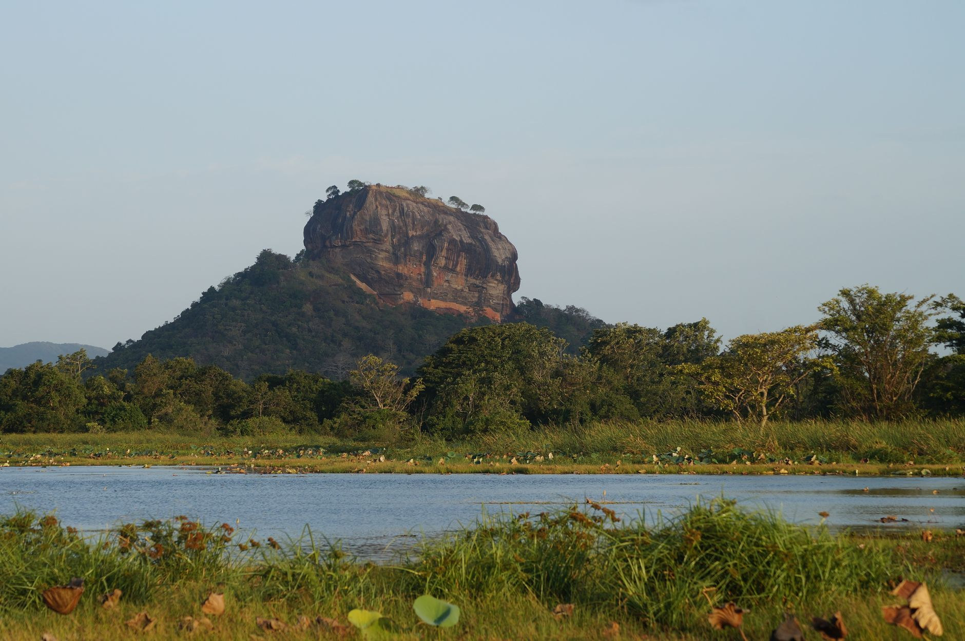 Ancient Sigiriya rock fortress monolith rising above the central plains forest