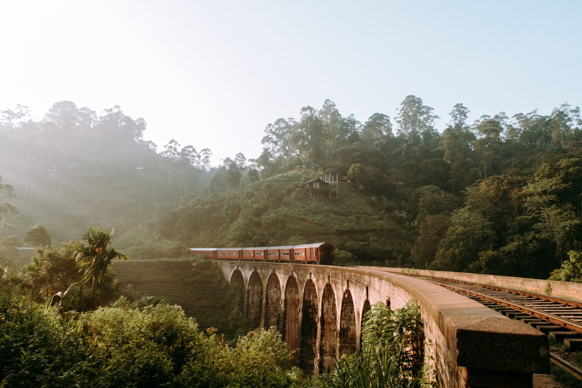 Scenic blue train passing through lush green hills in Sri Lanka