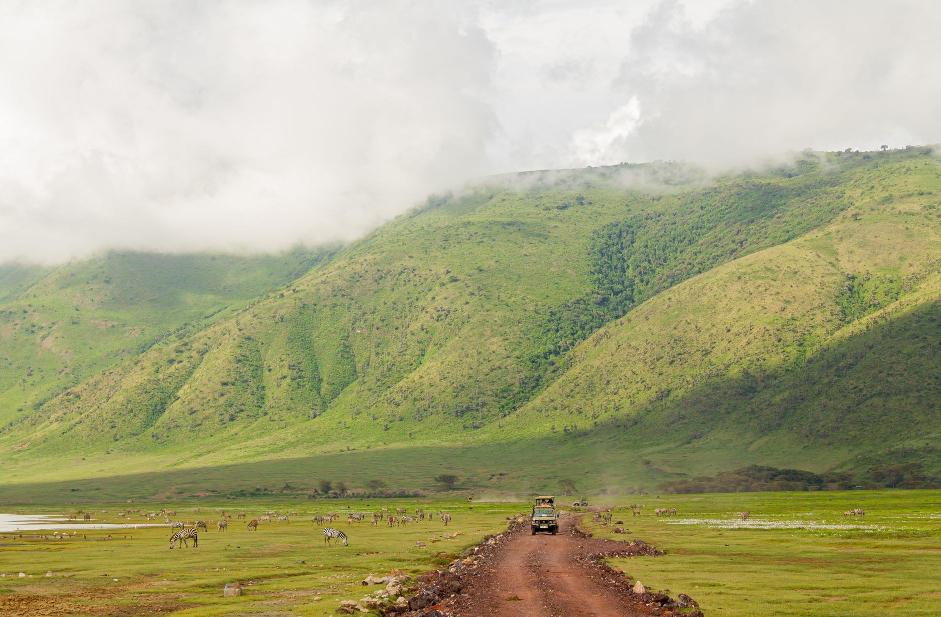 Sweeping aerial panorama of the lush Ngorongoro Crater floor
