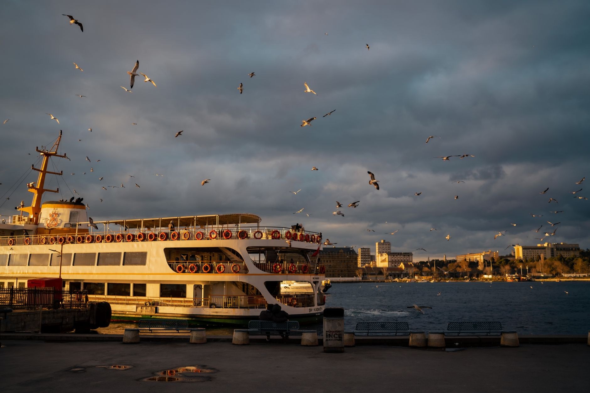 Municipal passenger ferry crossing the Bosphorus Strait with seagulls soaring overhead