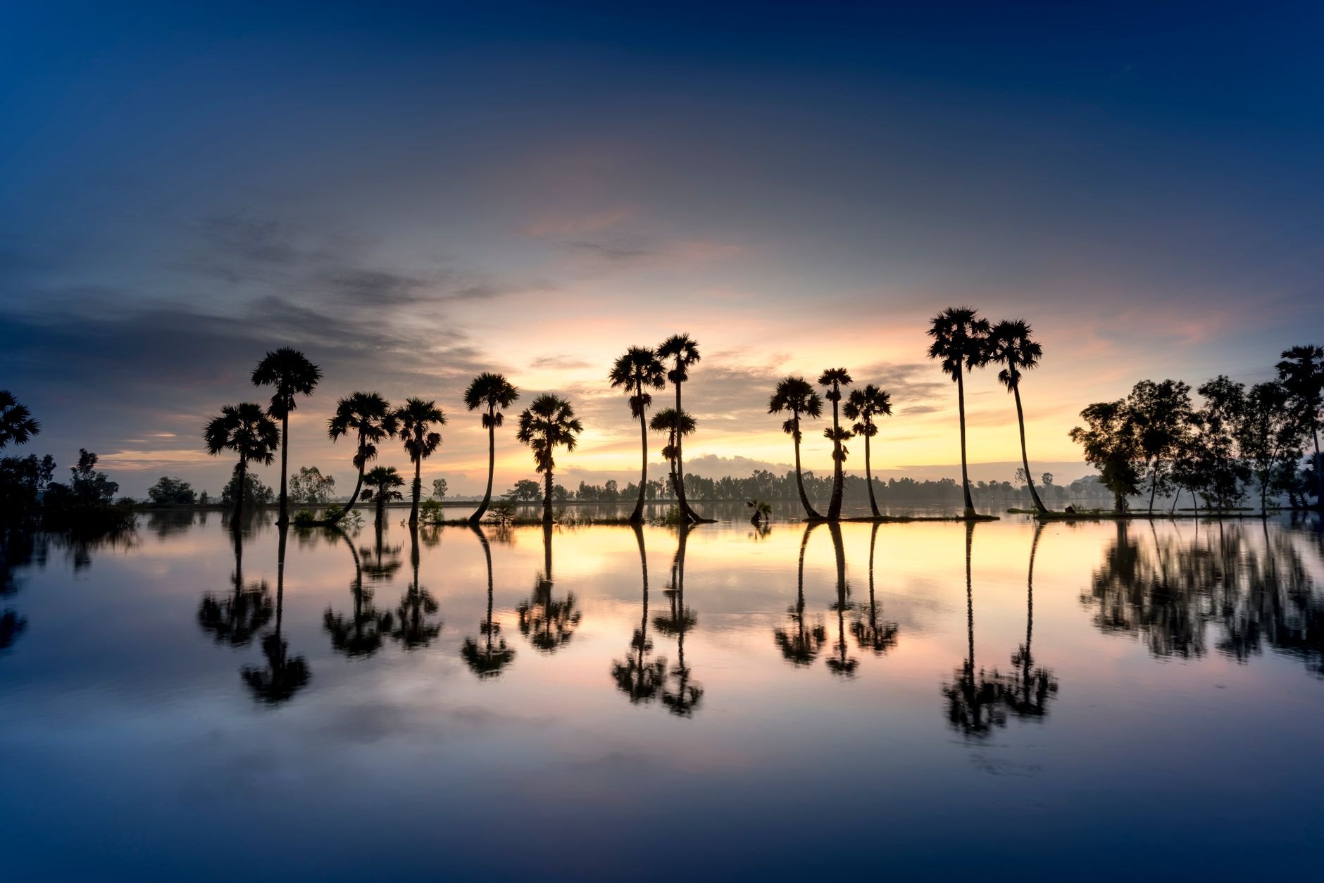 Tranquil waters of Lake Victoria lapping against green shores fringed with mature palms and tropical trees in Entebbe