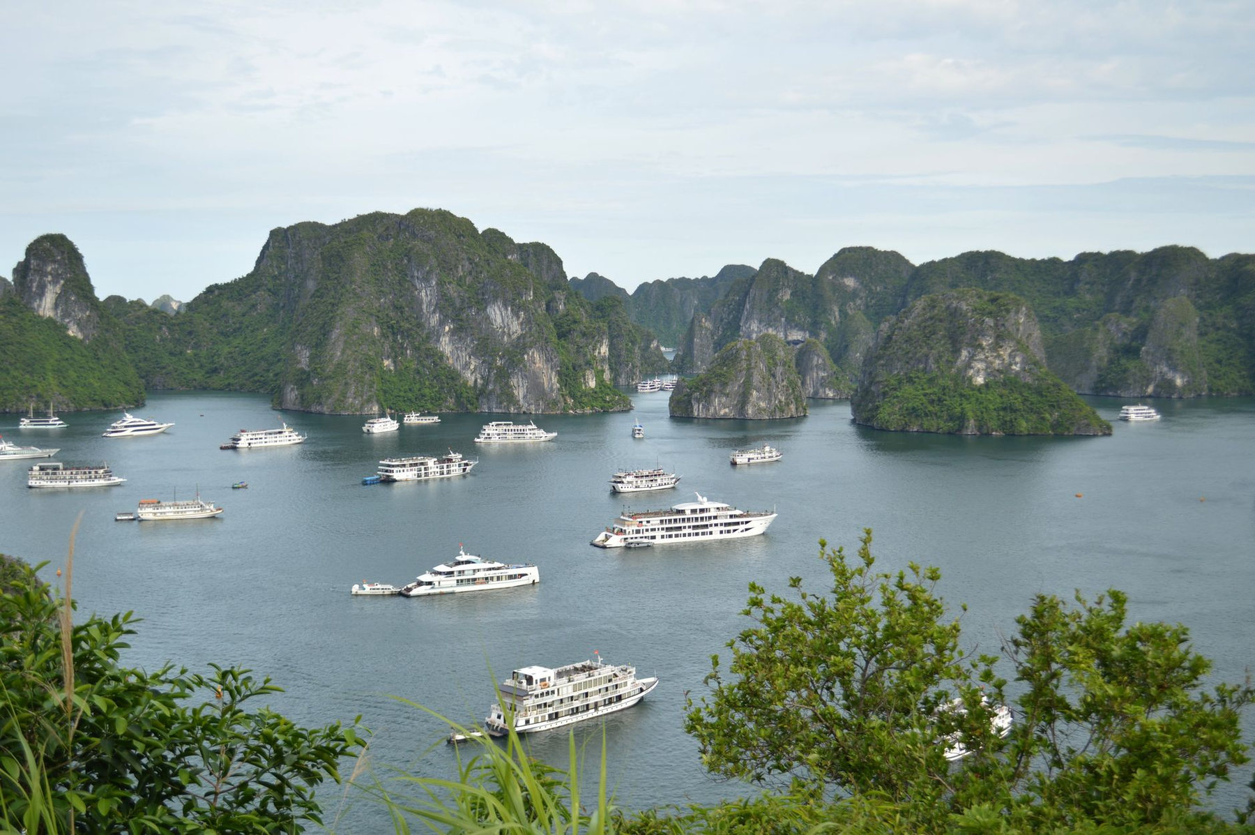 Boats in Hạ Long Bay