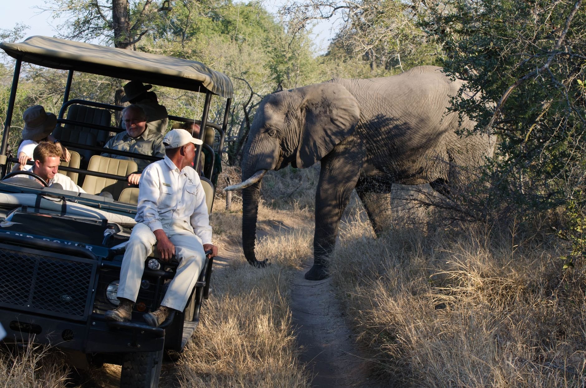 Safari travellers in neutral khaki attire following an armed professional wildlife guide through golden savannah bush