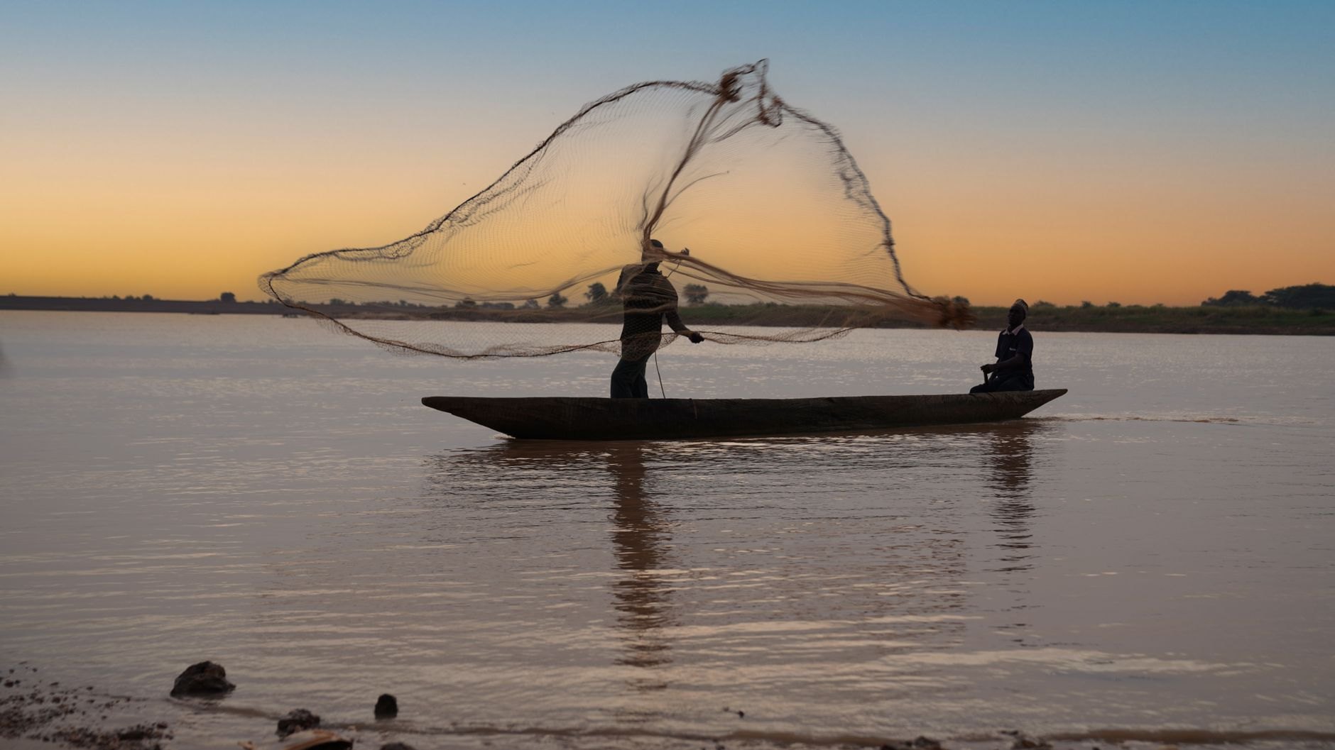 Gentle ripples on the broad Zambezi River bathed in deep gold and amber hues during sunset with silhouette trees
