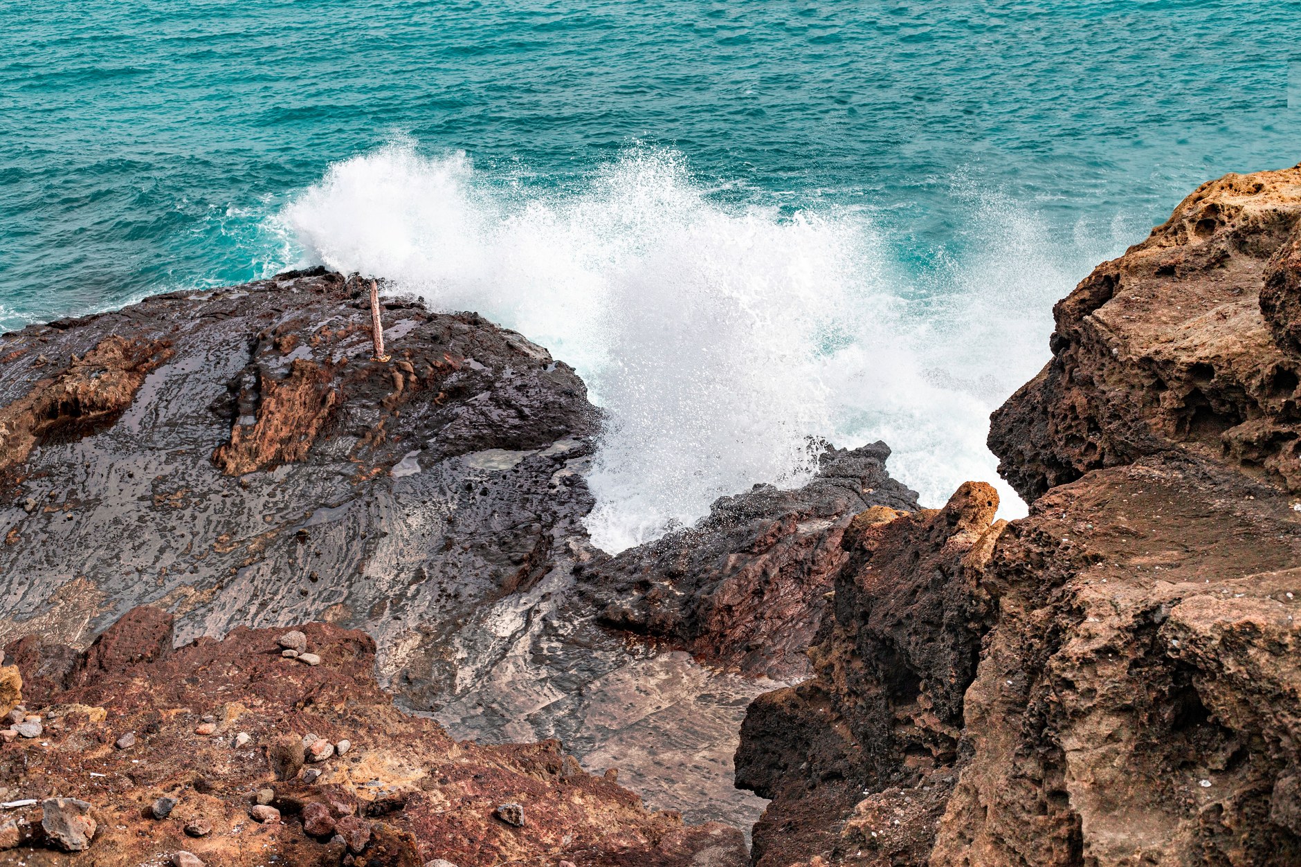 Powerful ocean blowhole blasting seawater high into the air through black volcanic basalt shelves