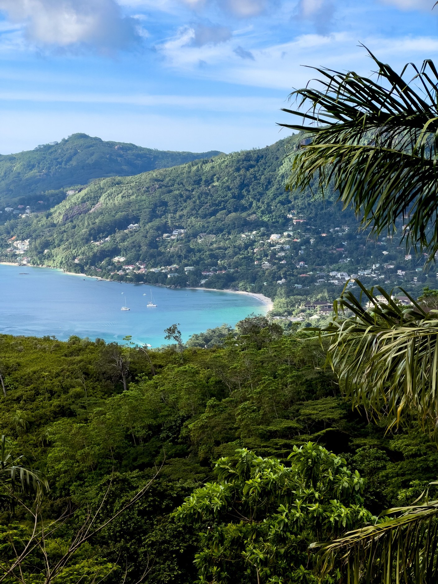 Lush forested mountain peaks and granite cliffs of Morne Seychellois National Park overlooking the ocean