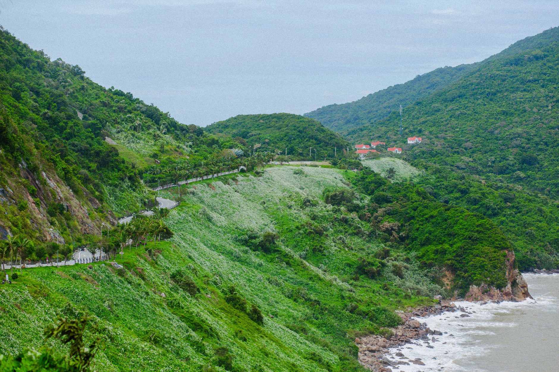 Scenic paved coastal road winding along tropical green mountains and ocean shoreline