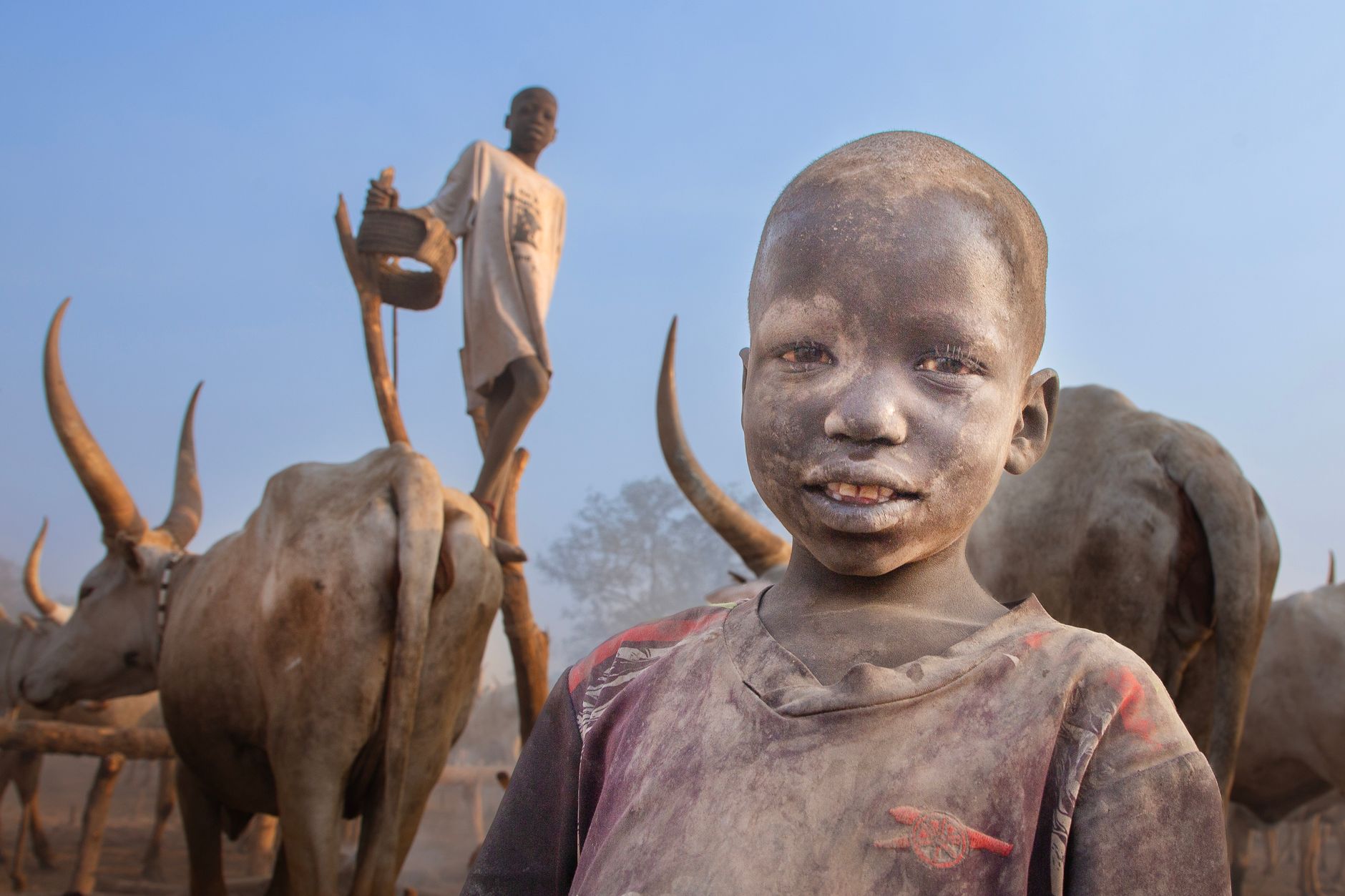 Child standing among domesticated long-horned cattle in a traditional rural pastoralist community