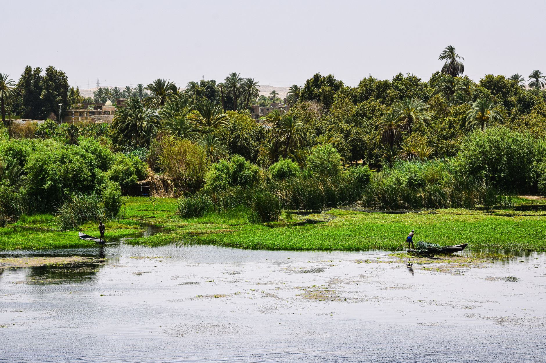 Lush papyrus reeds and wooden riverboats along the banks of the White Nile near Juba