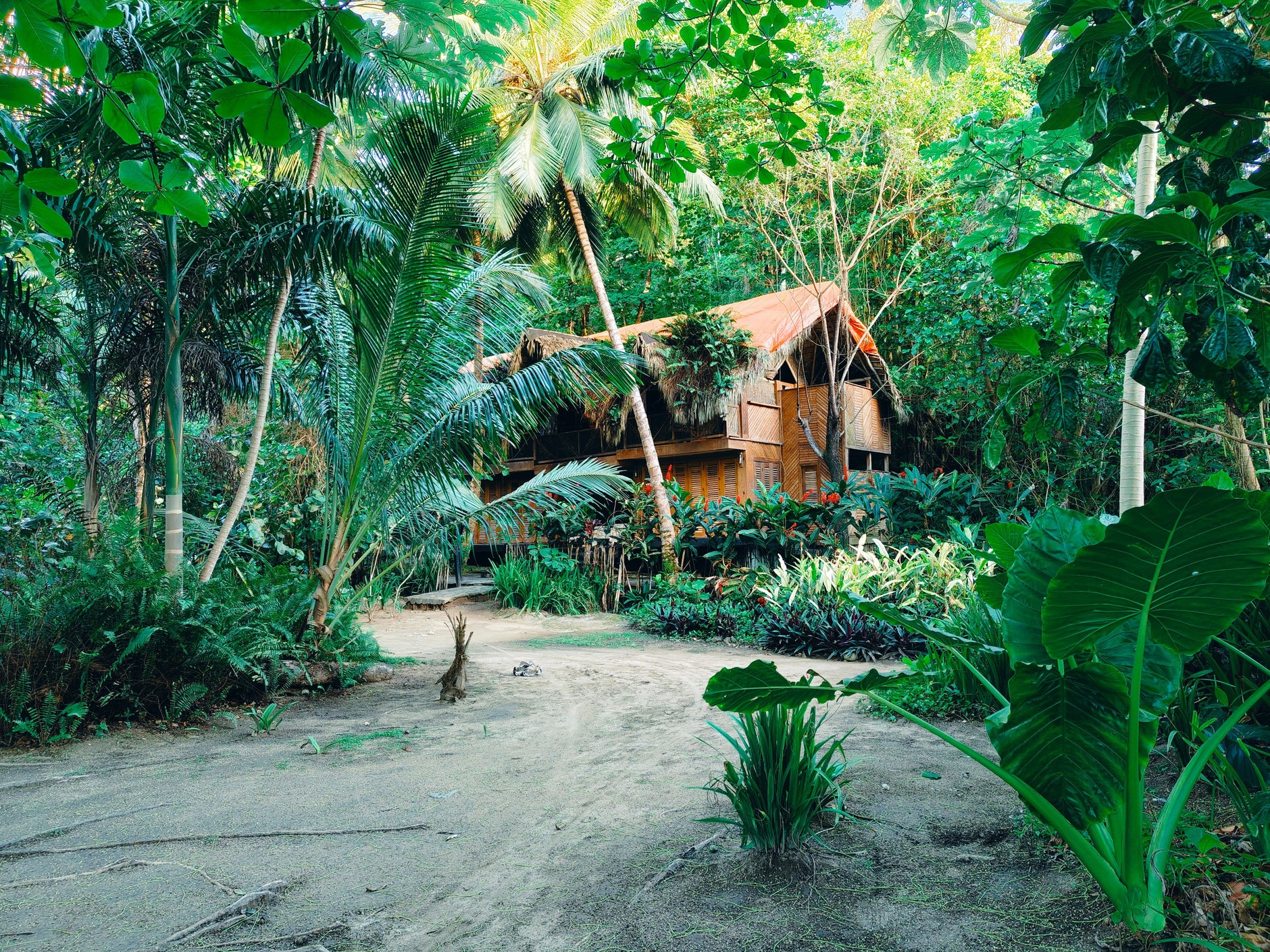 Secluded wooden eco-lodge cabins surrounded by lush tropical vegetation along the riverbank