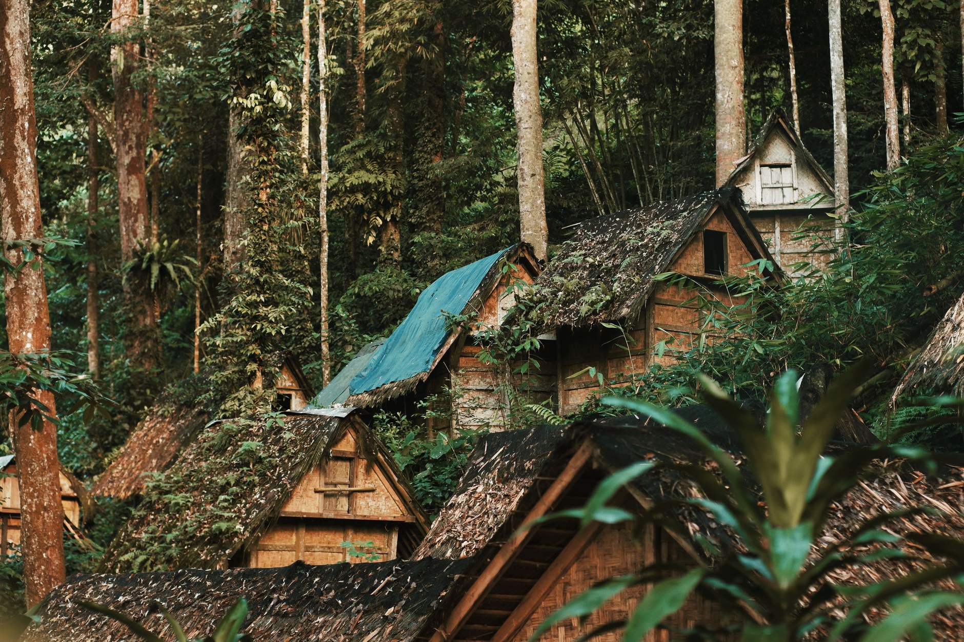 Traditional timber village dwellings with carved facades in an authentic Saramaka Maroon river settlement