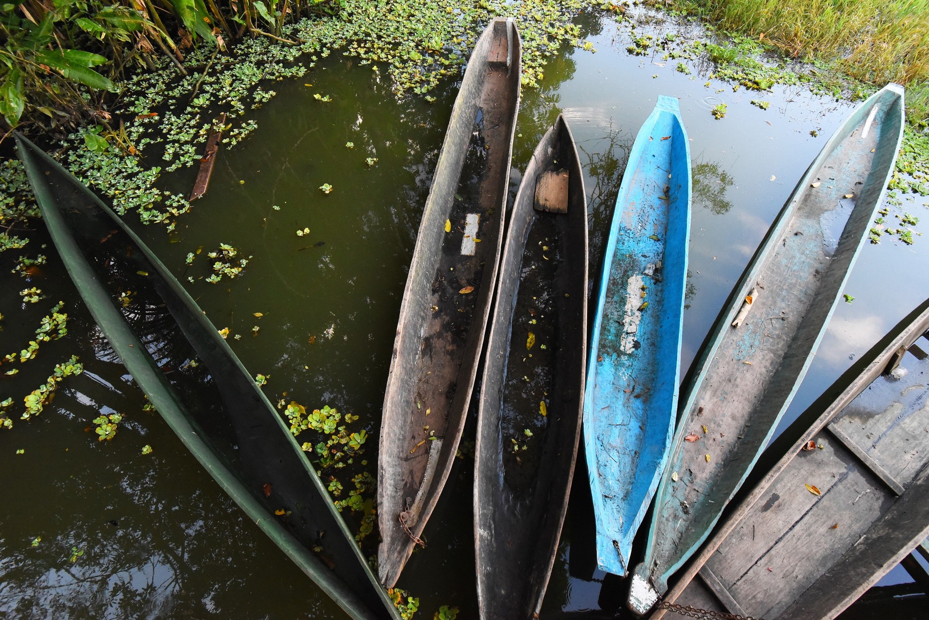Traditional motorized wooden dugout canoe navigating river rapids on the Upper Suriname River