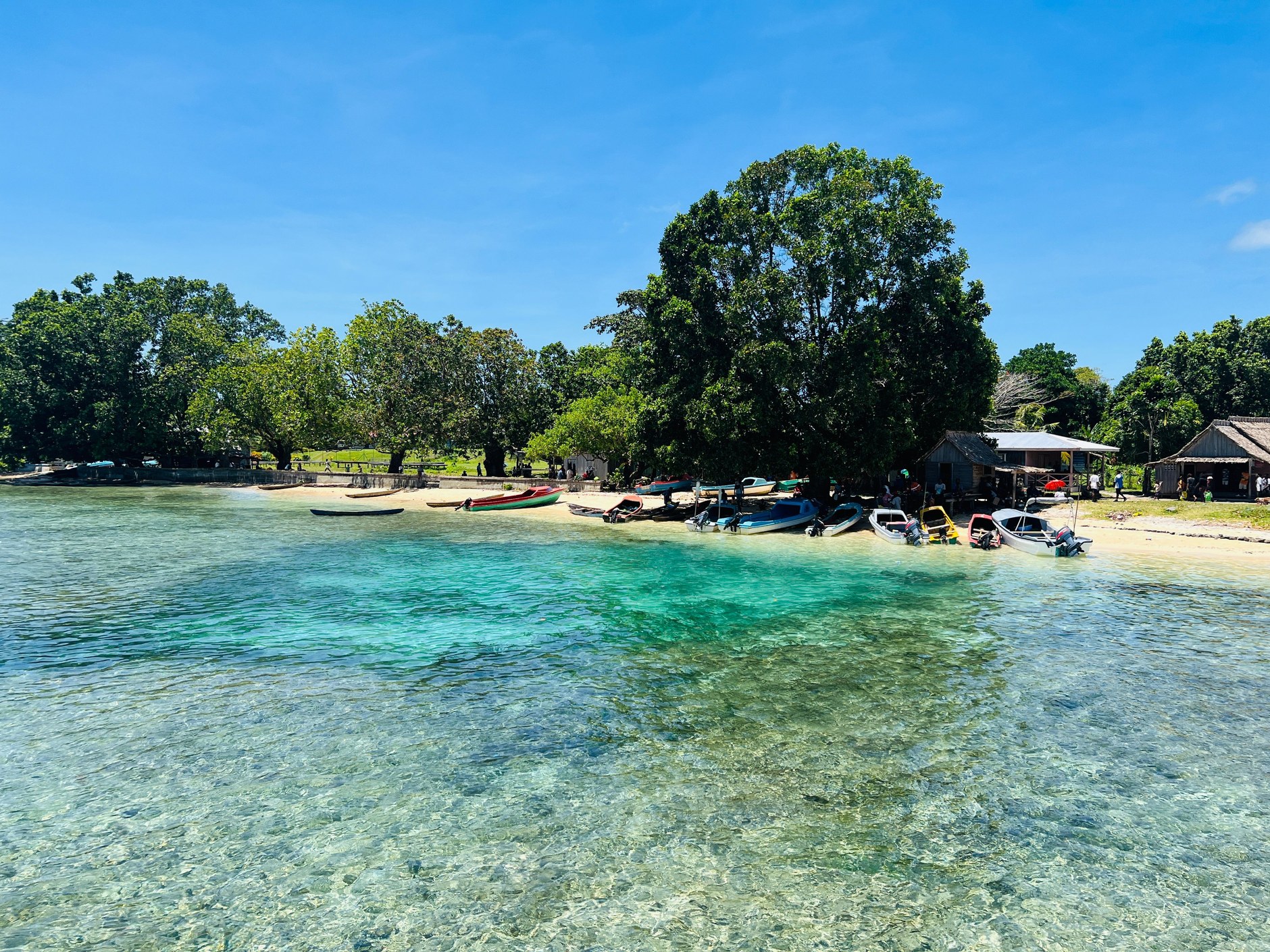 Powder-soft white sand beach and calm turquoise sea bordered by lush tropical trees in Espiritu Santo