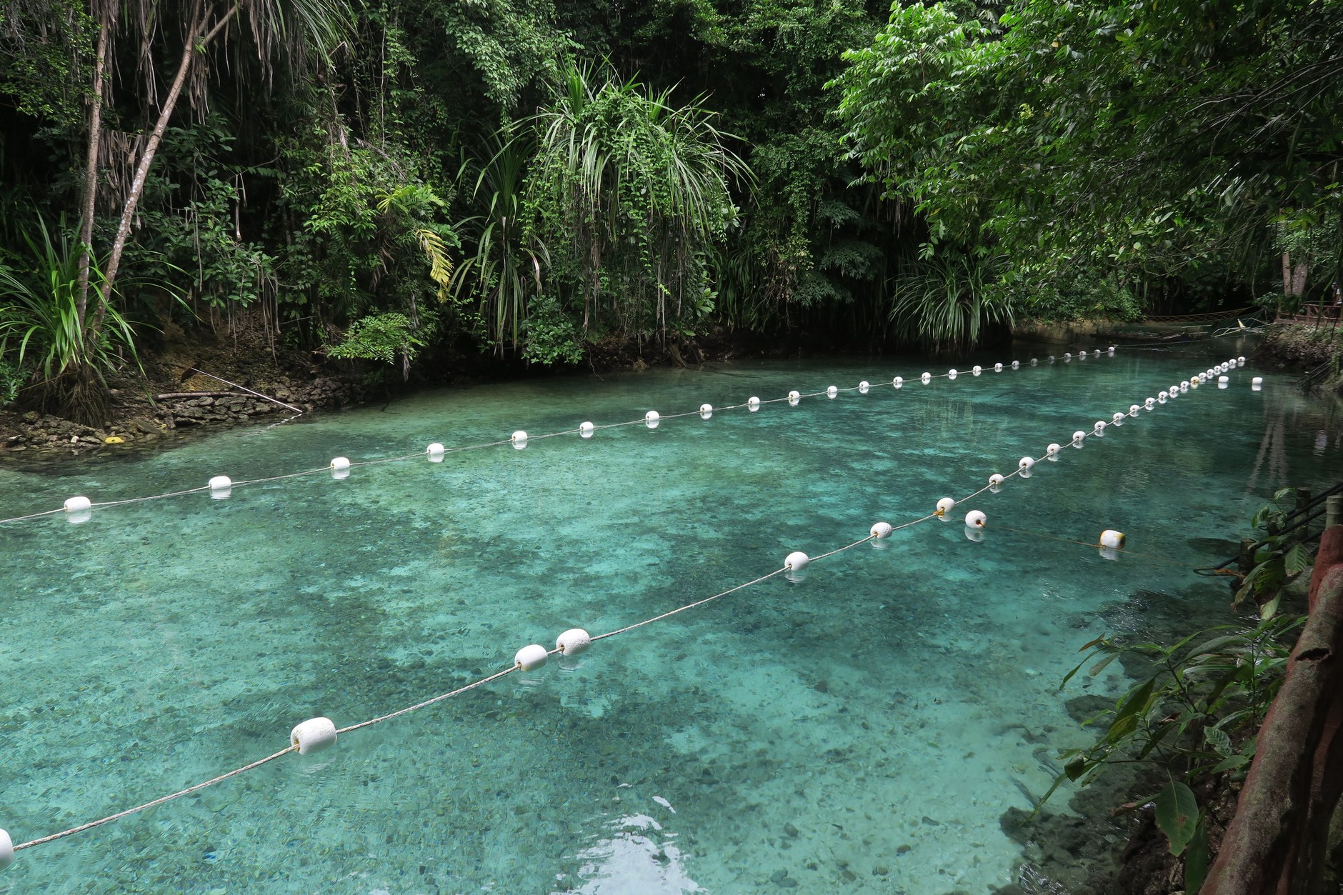 Crystal-clear deep sapphire freshwater spring surrounded by dense tropical rainforest canopy in Santo