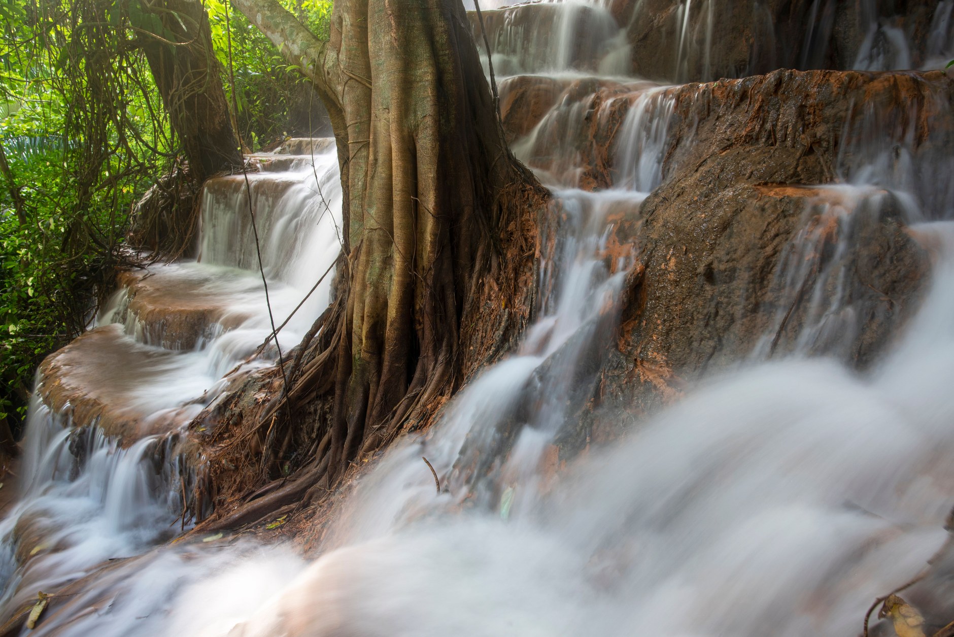 Tiered limestone waterfall cascading over rock terraces into clear turquoise swimming pools in the jungle