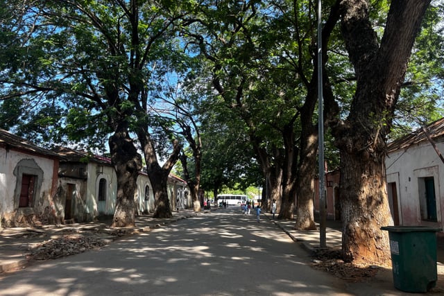 Charming tree-lined street with traditional buildings in a historic Angolan village under a bright blue sky.