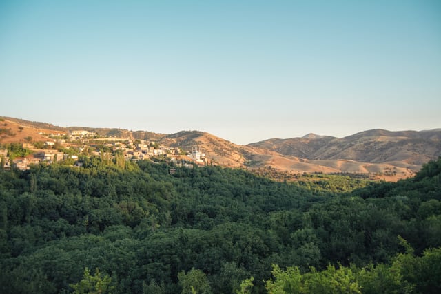 A scenic view of a lush forest leading to a remote Iraqi village nestled in the mountains.