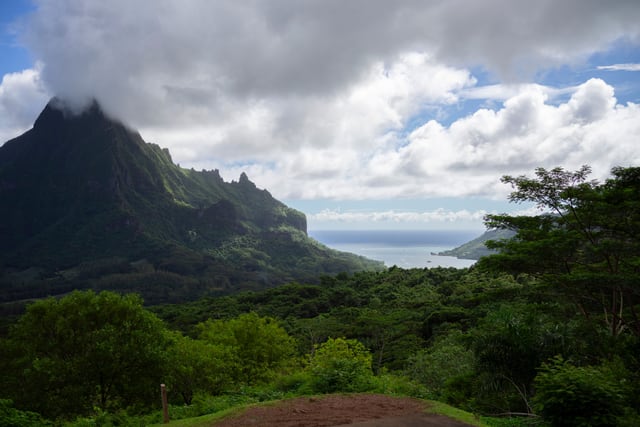 Breathtaking landscape of Mount Rotui overlooking lush forests and the ocean in Moorea, French Polynesia.