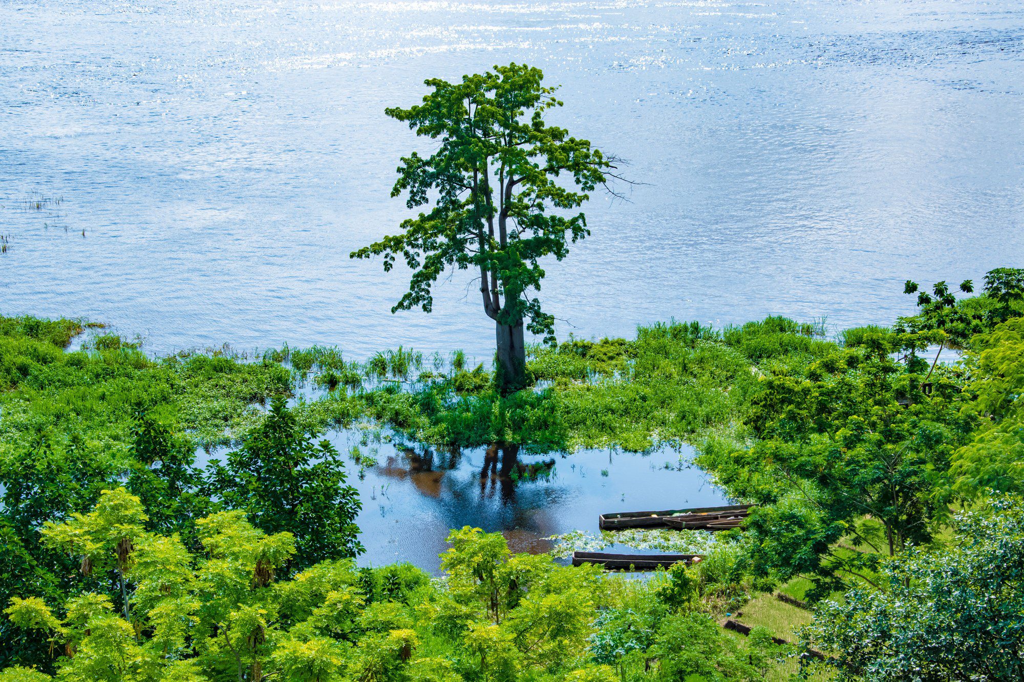 Republic of the Congo Travel Guide: Brazzaville & Odzala Gorillas